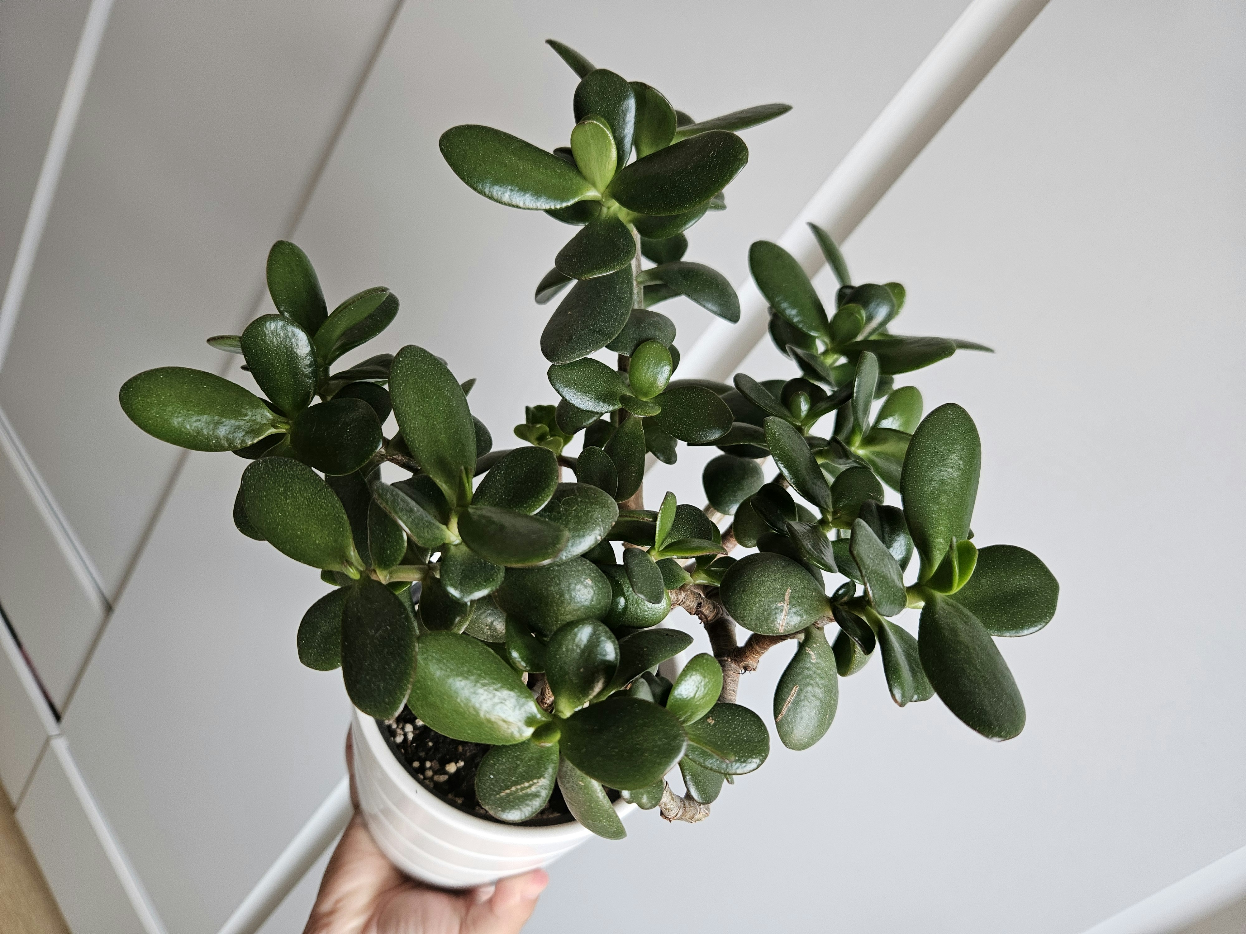 Photo by marjorylucabaxter