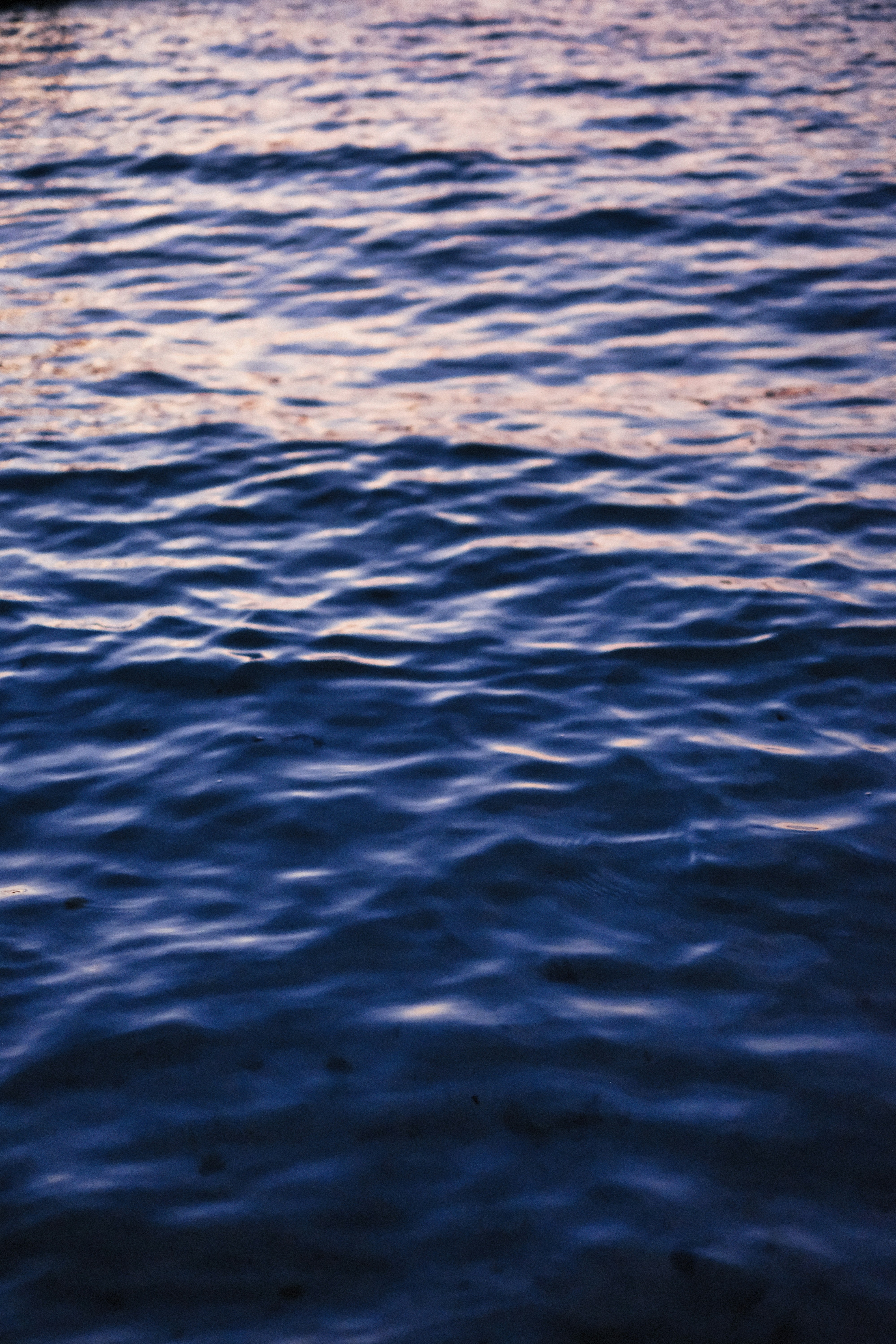 Photo by alexeydemidov