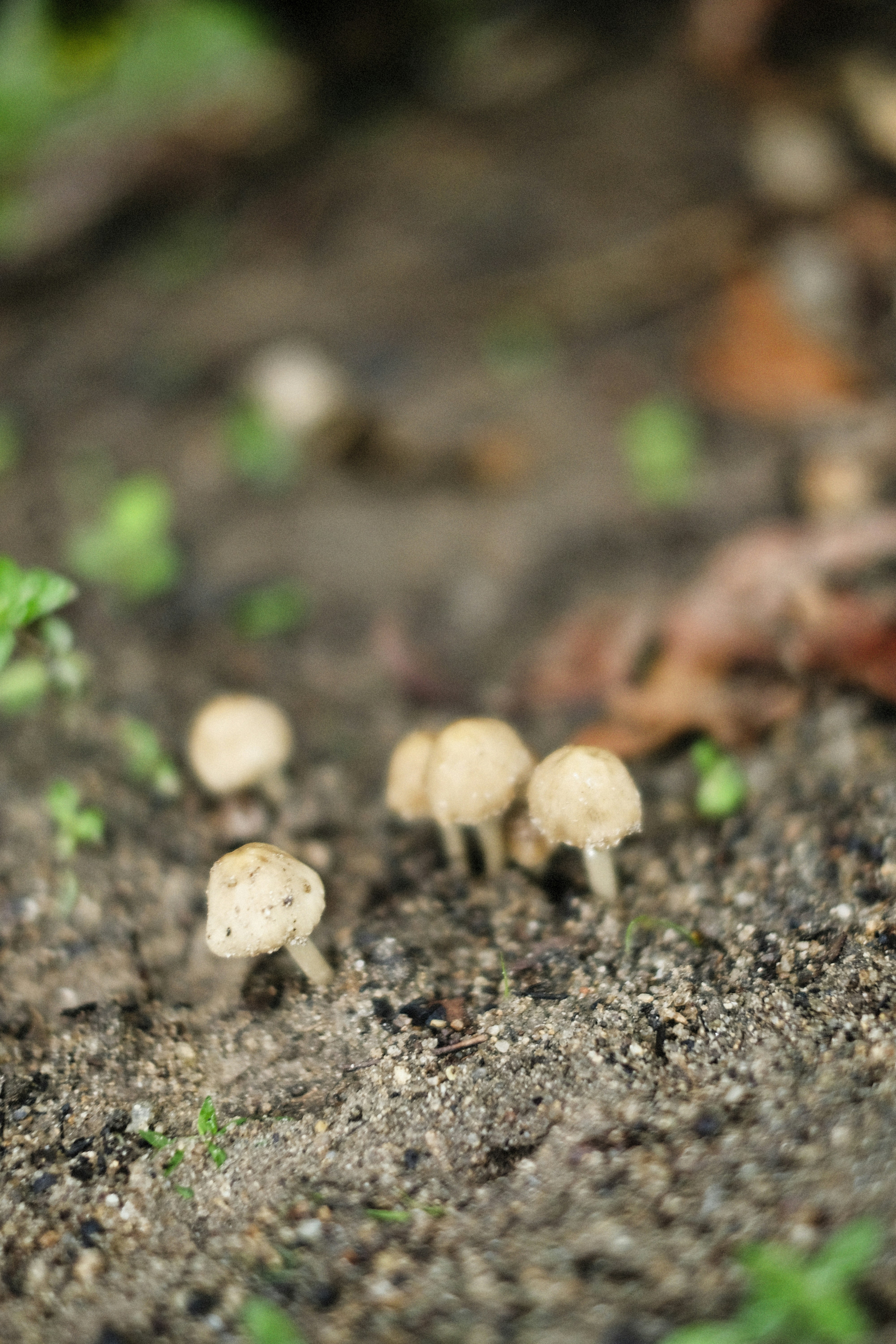 Photo by alexeydemidov