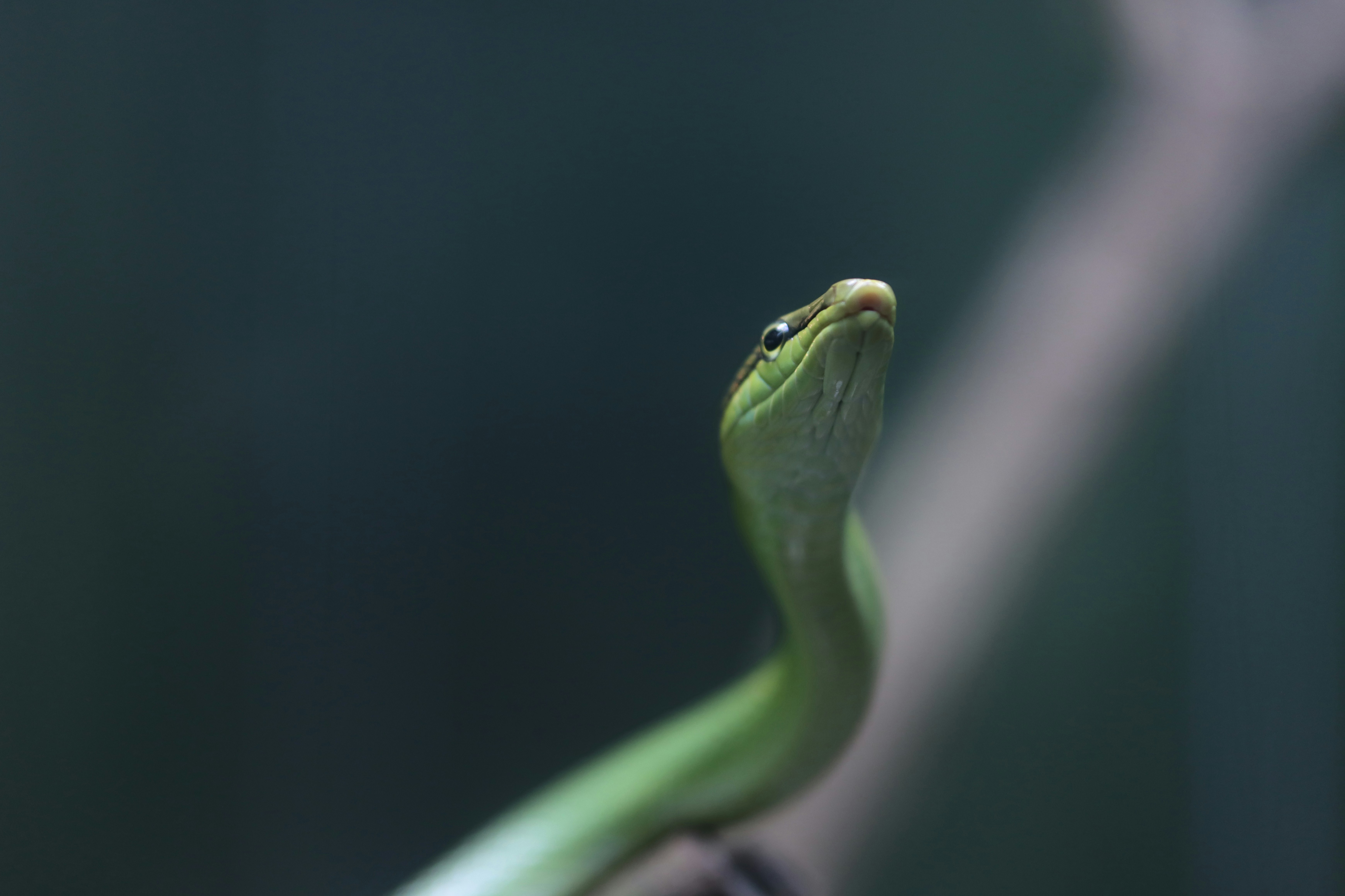 Photo by not_a_legend