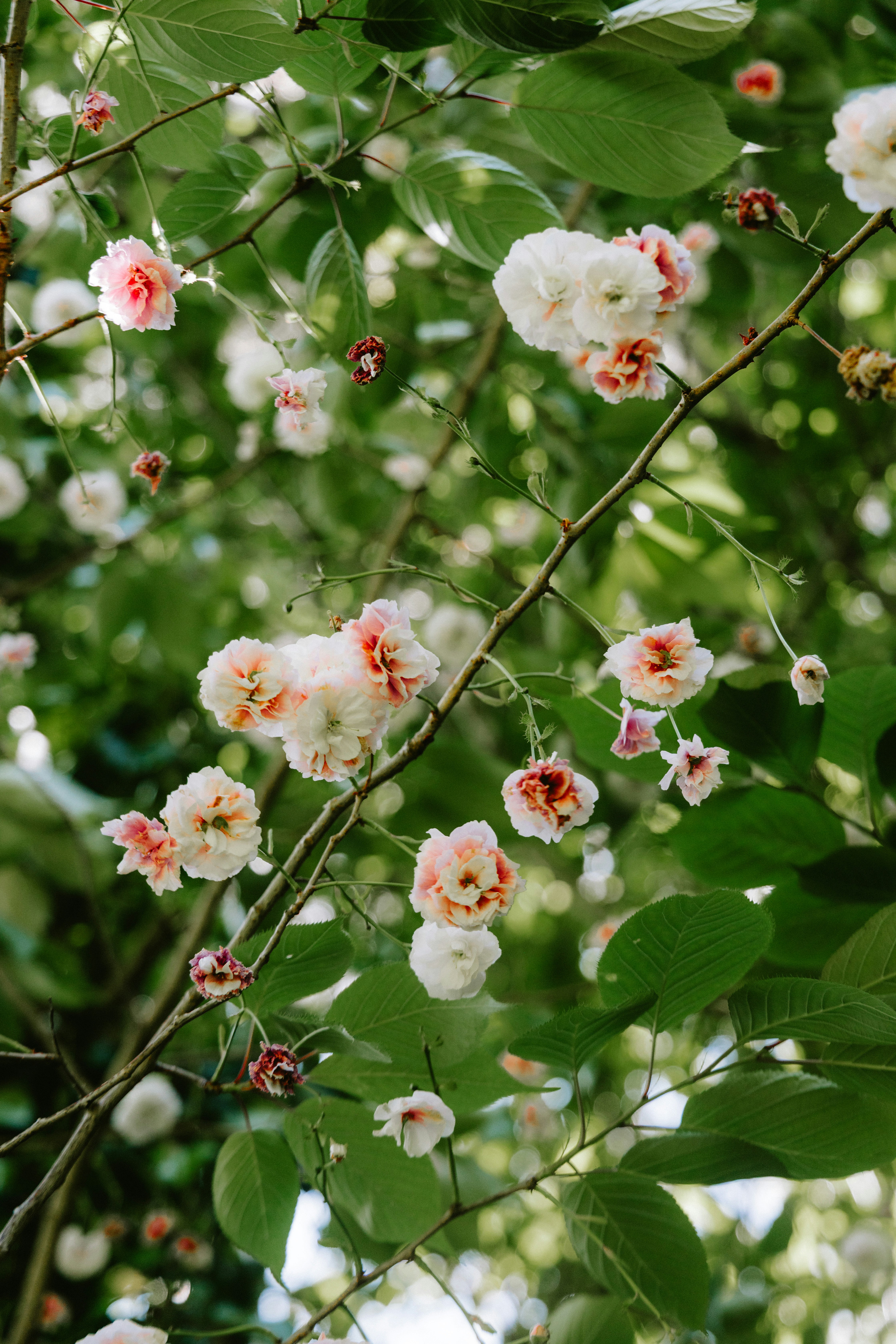 Photo by observationalme