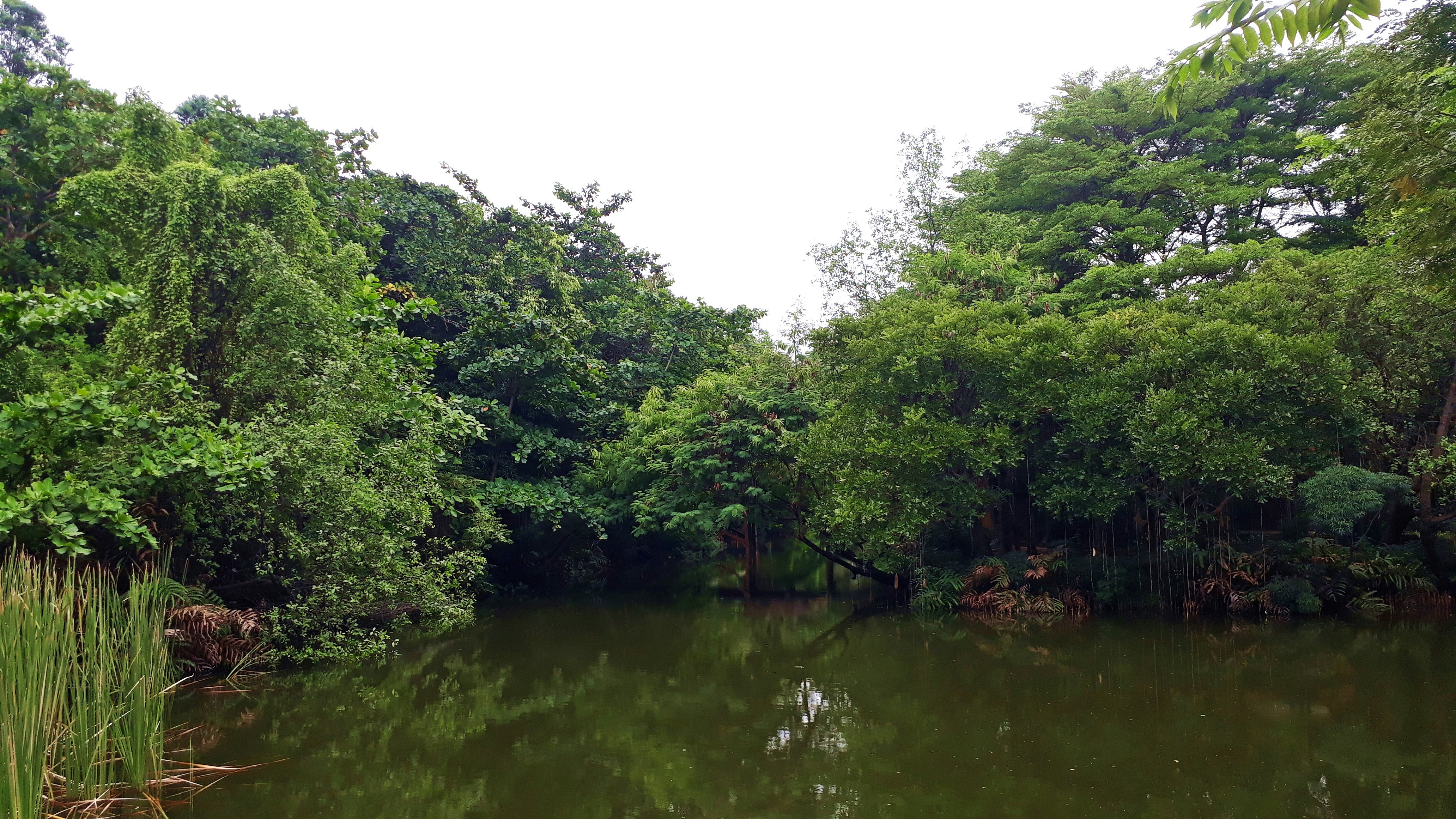 Photo by milaoktasafitri