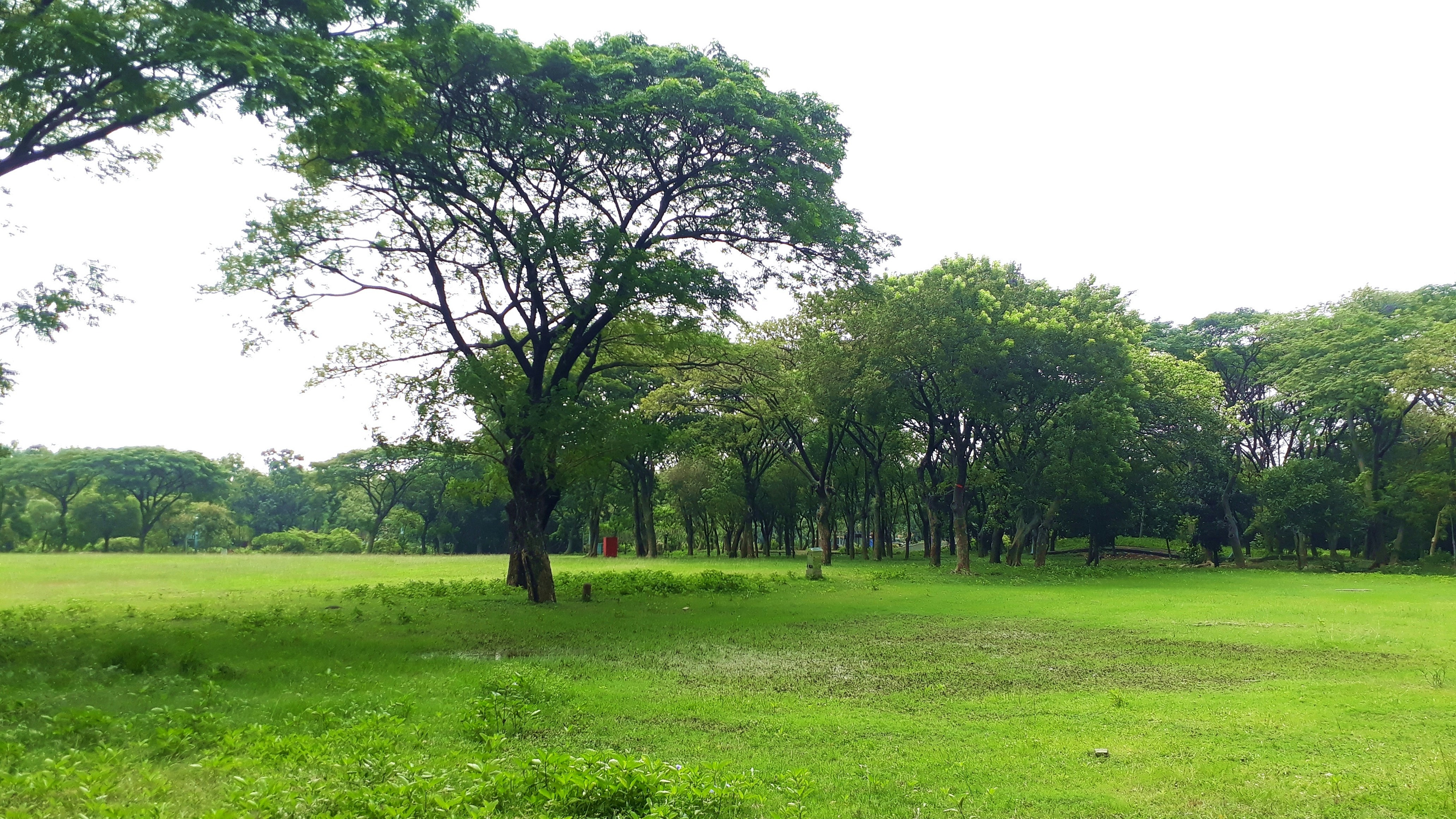 Photo by milaoktasafitri