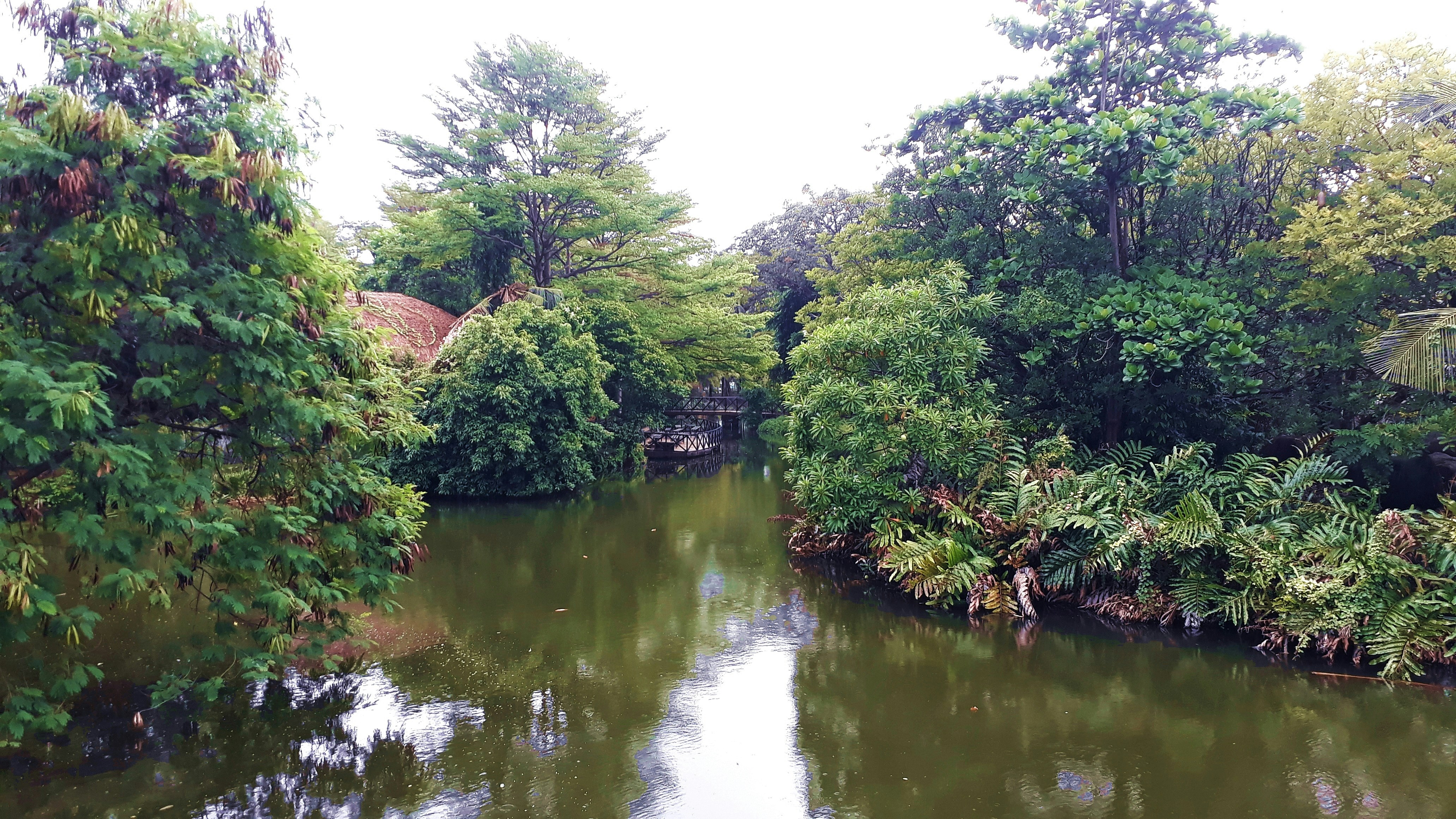 Photo by milaoktasafitri