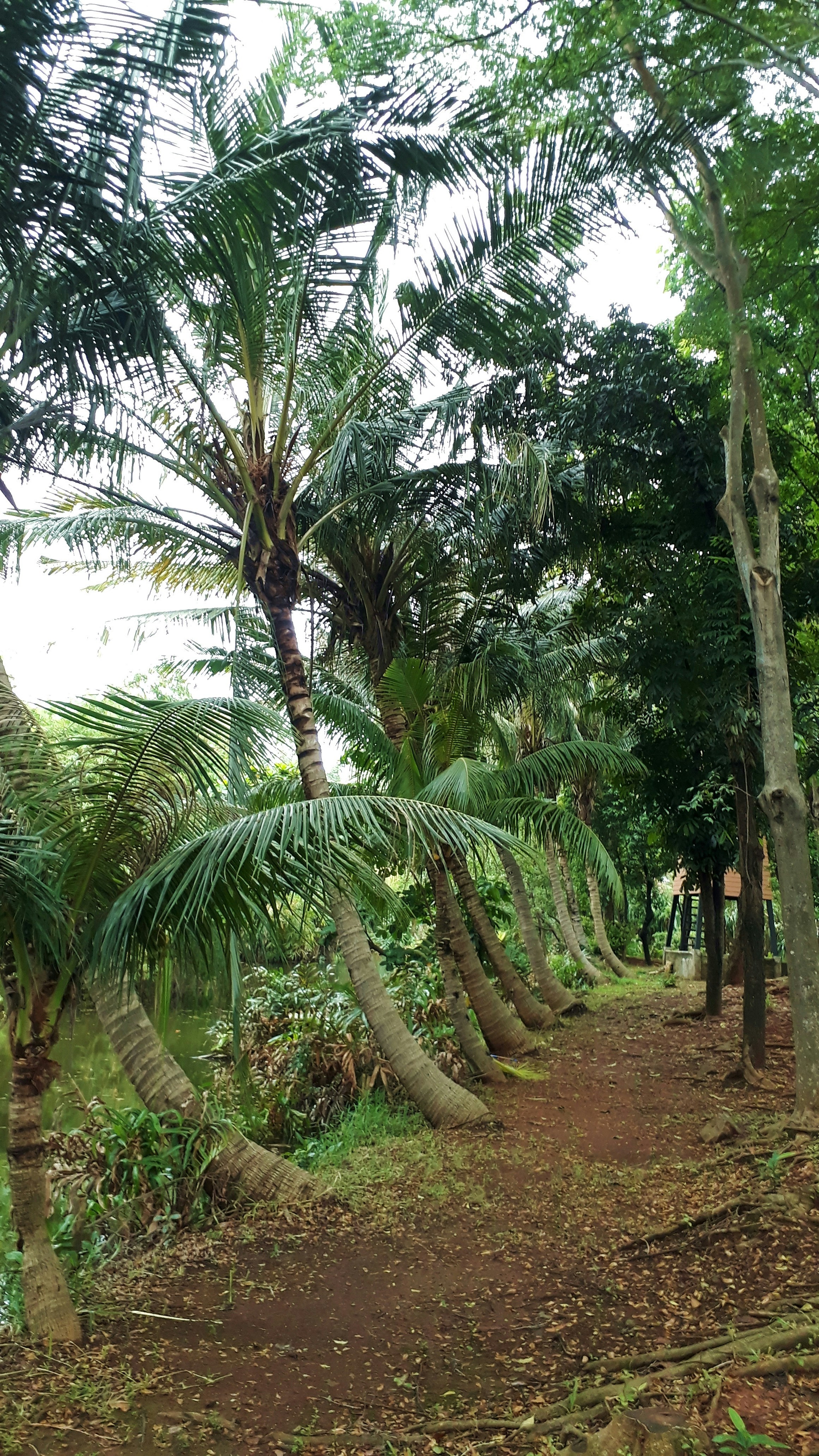 Photo by milaoktasafitri