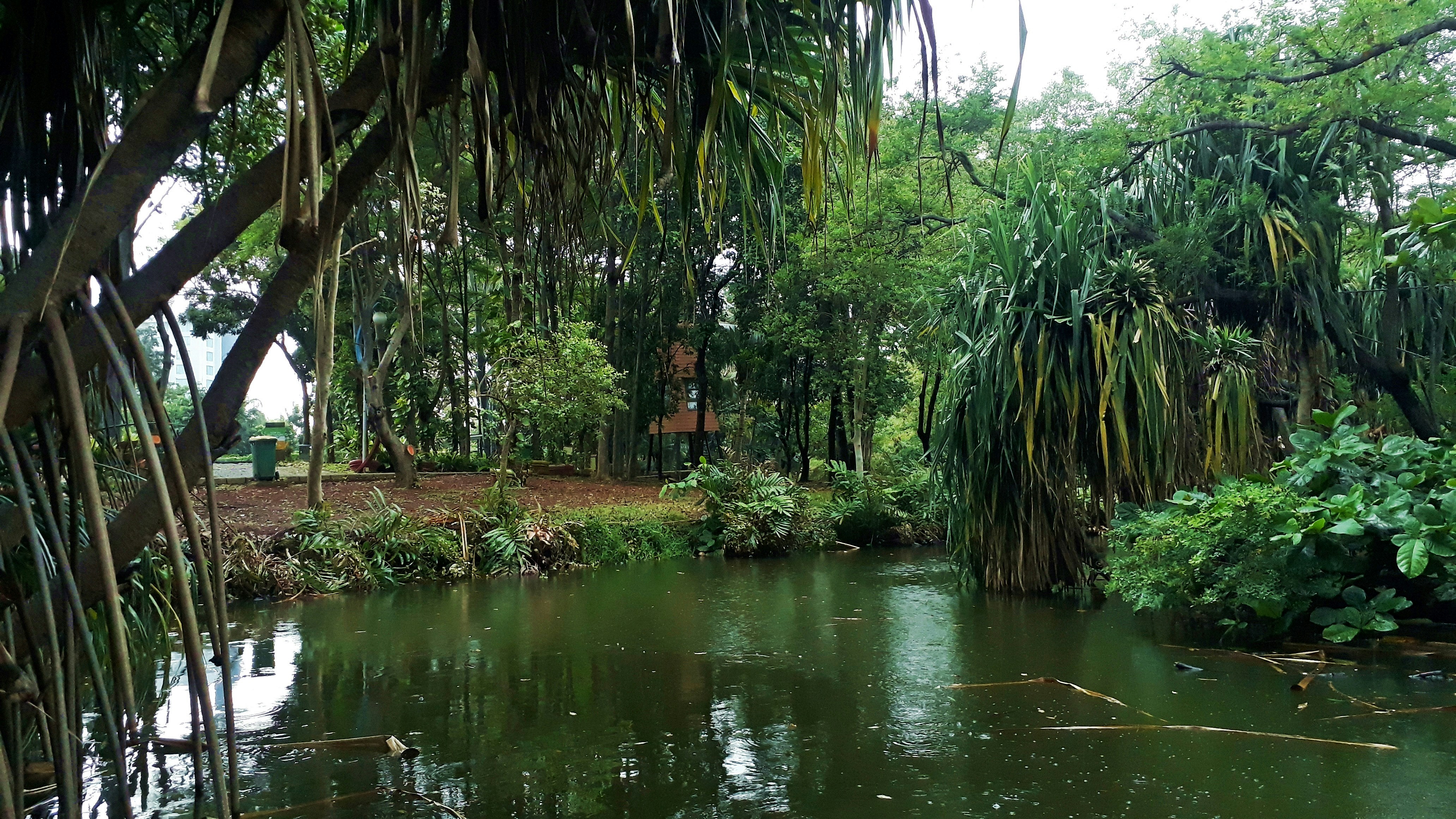 Photo by milaoktasafitri