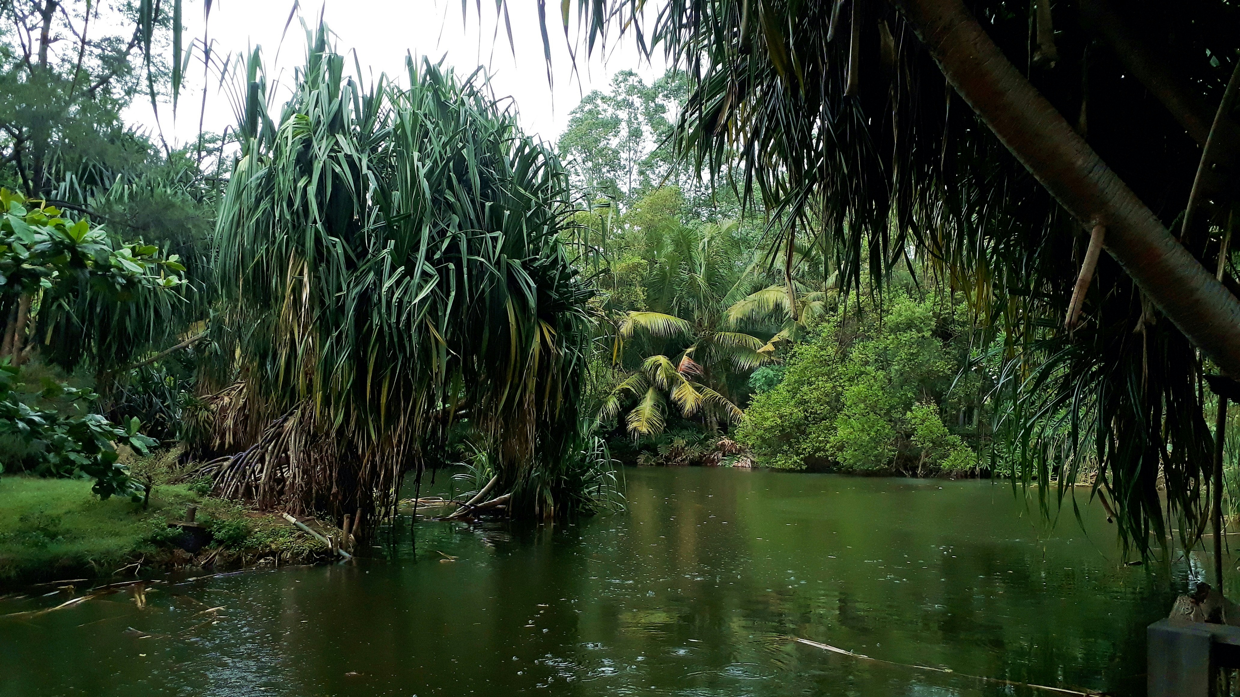 Photo by milaoktasafitri