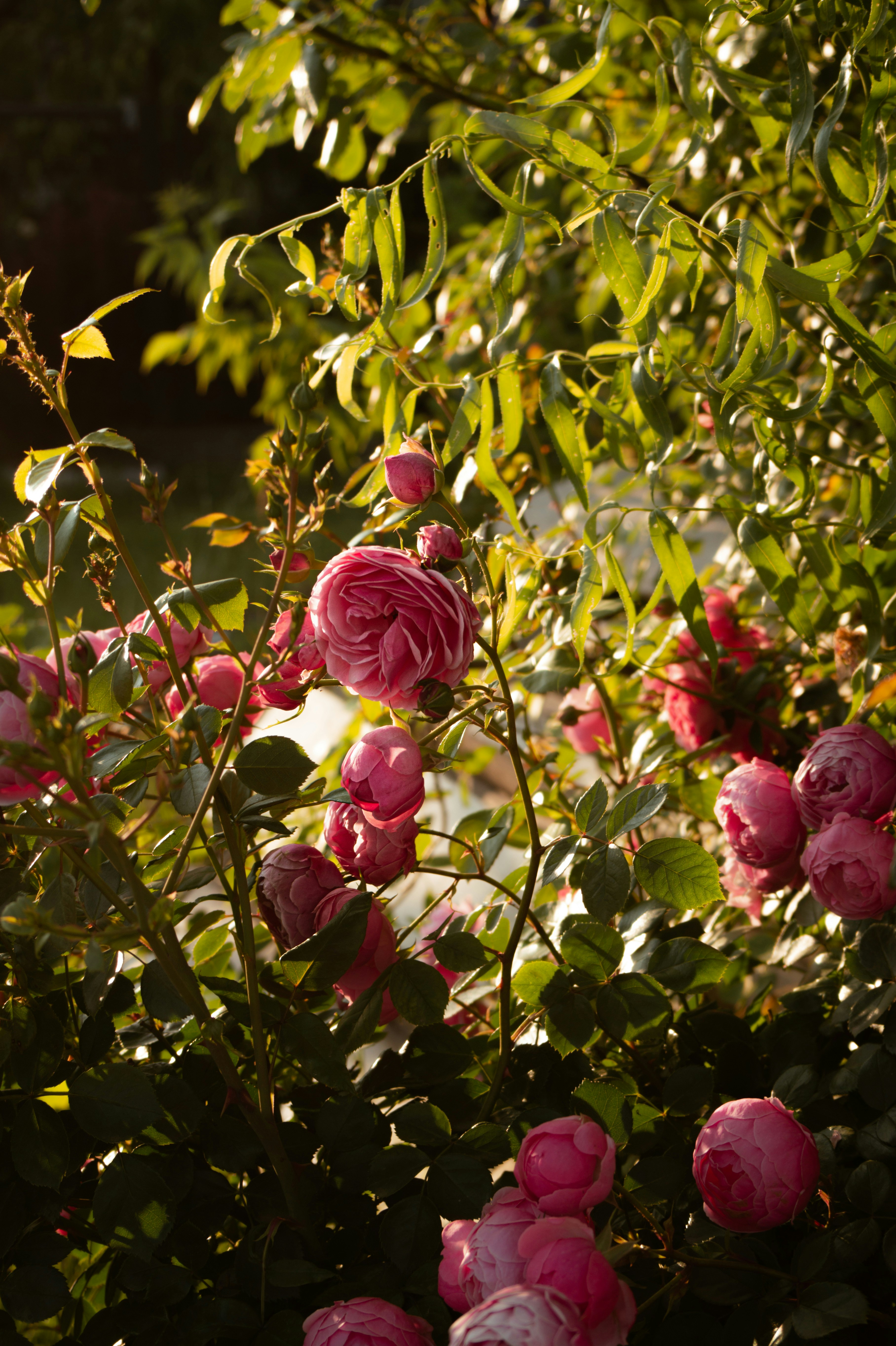 Photo by valentine_ivanova