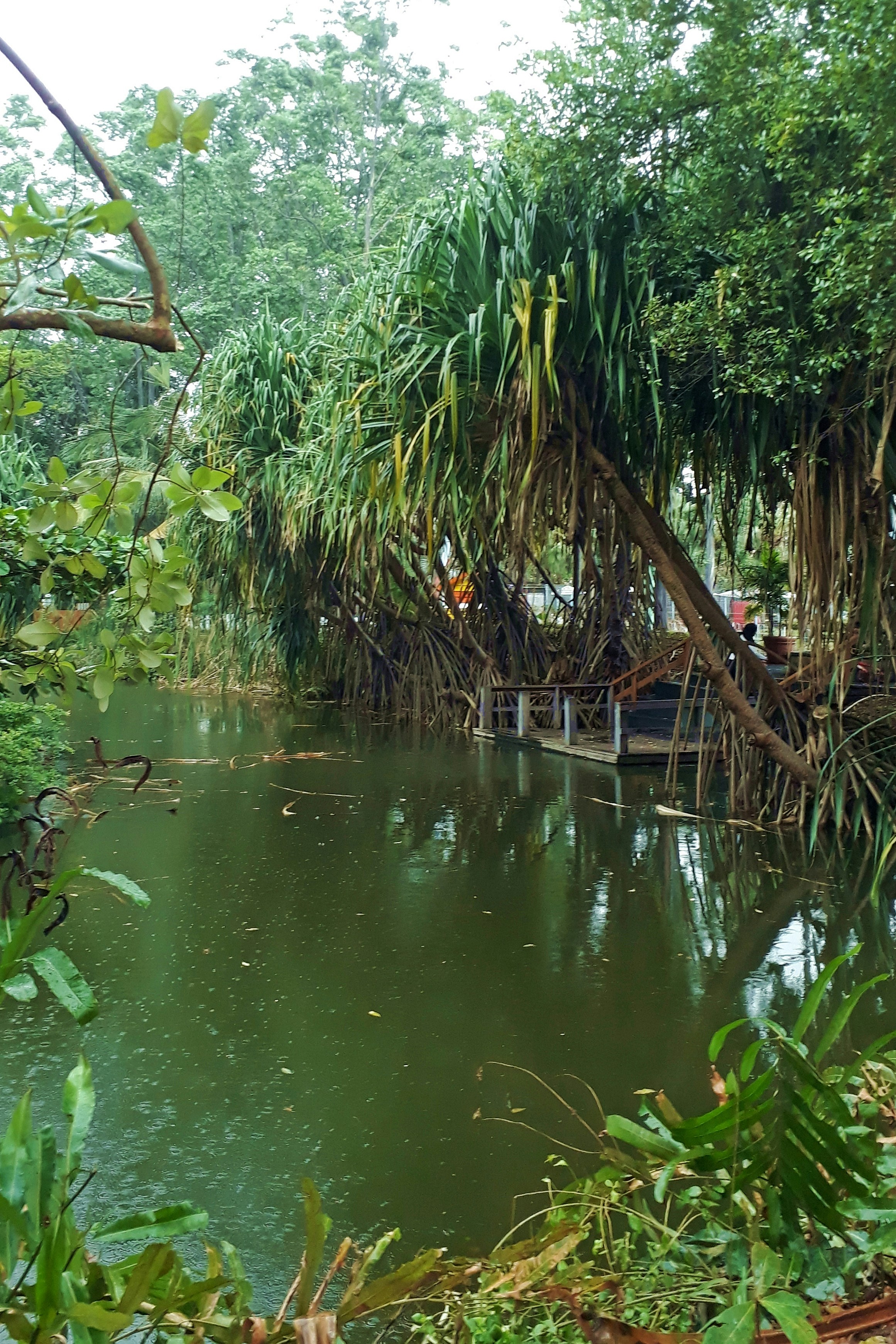 Photo by milaoktasafitri