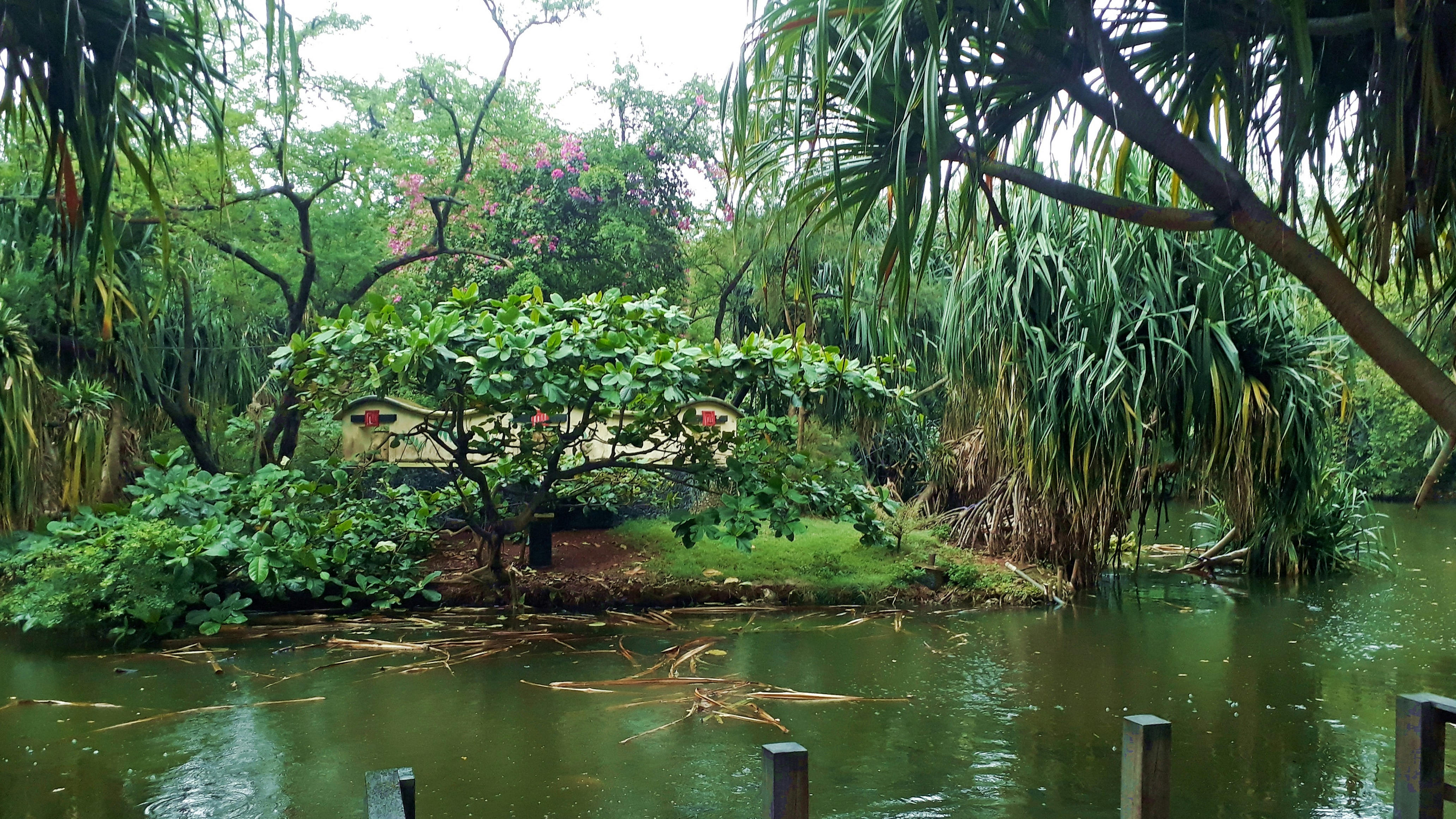 Photo by milaoktasafitri