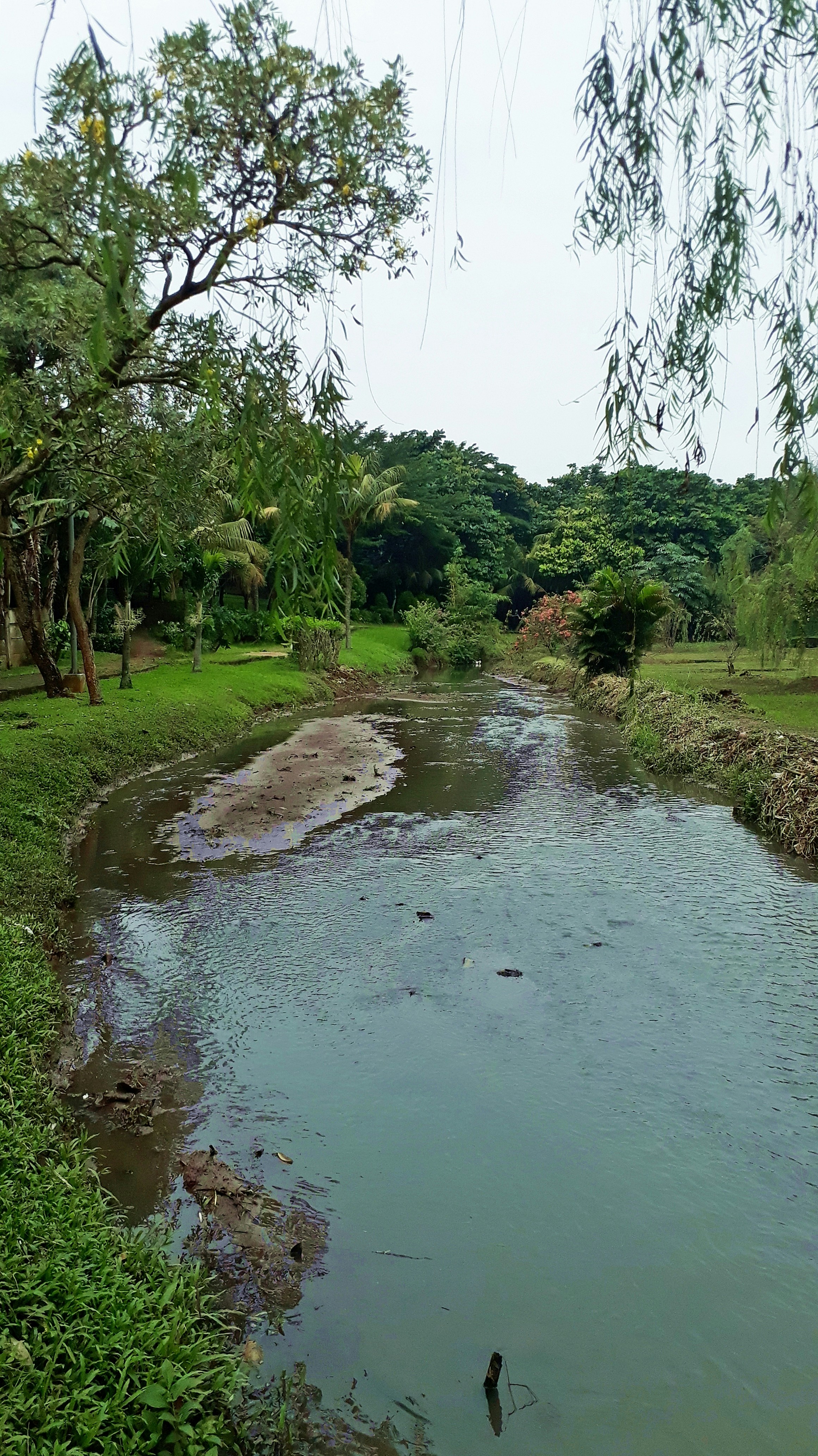 Understanding Soil Contamination