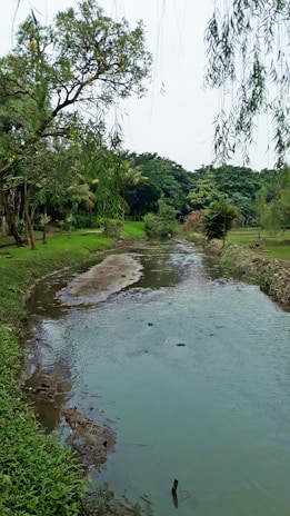 A river flows through a lush, green landscape.