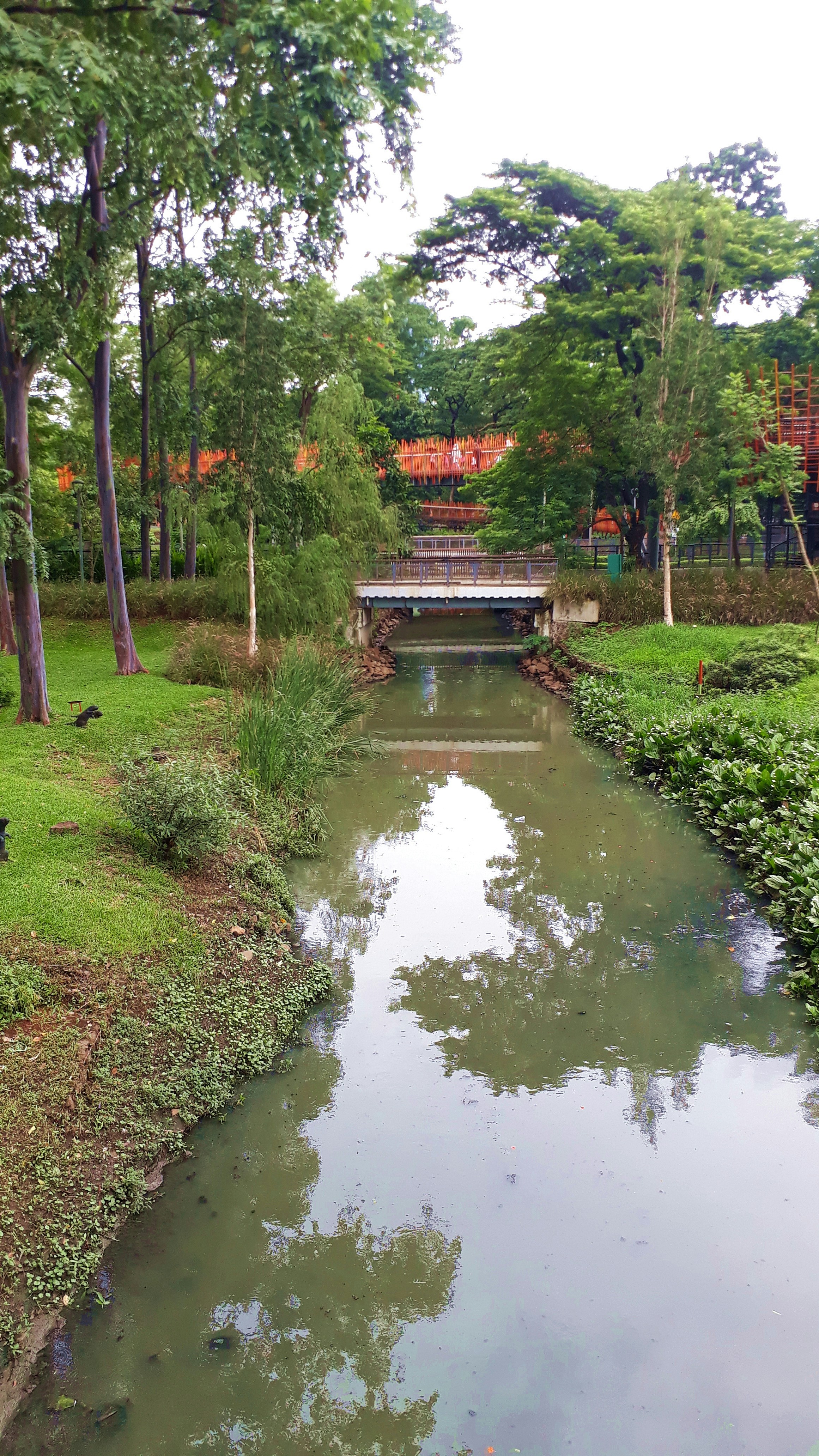 Photo by milaoktasafitri