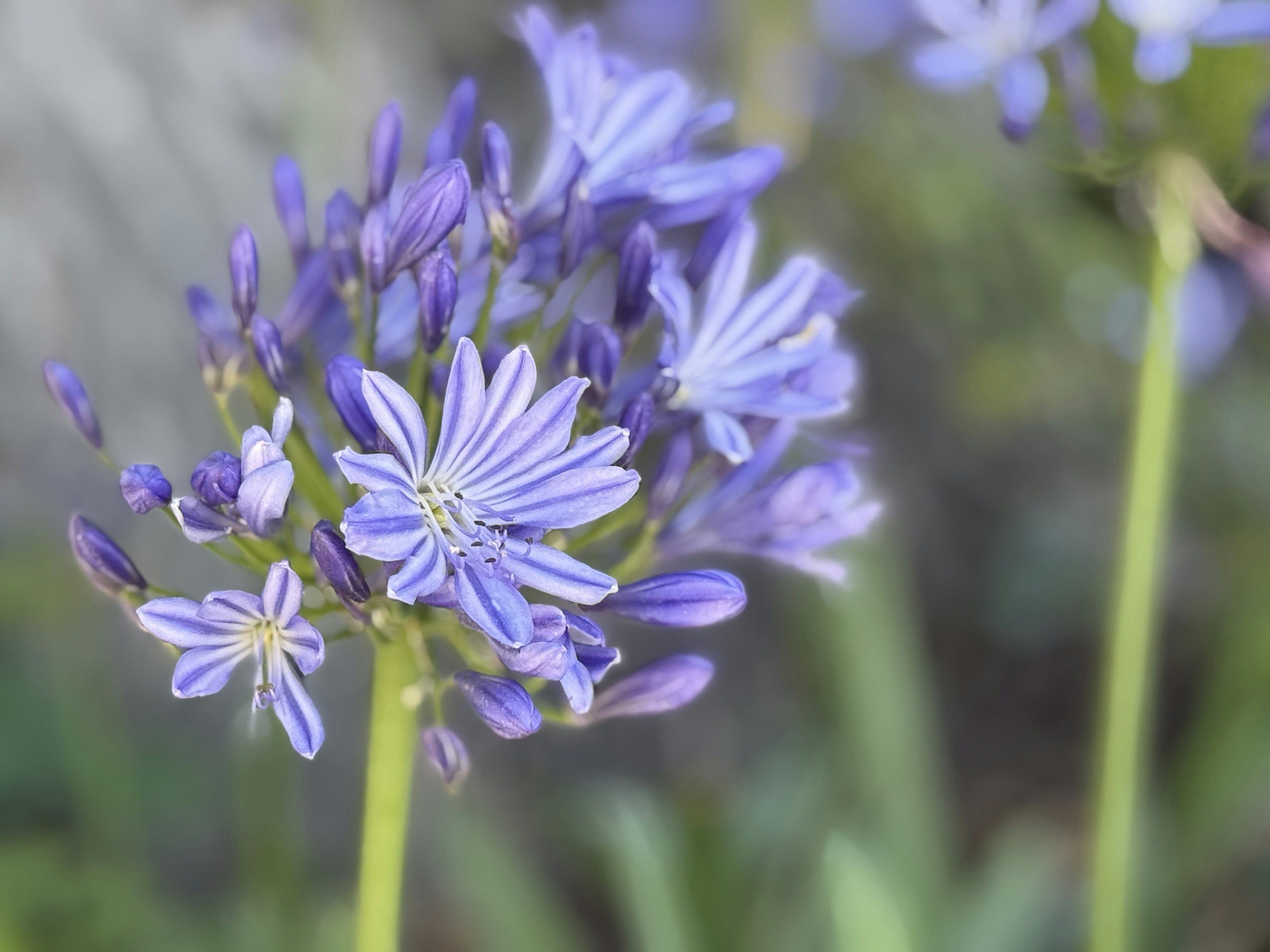 Photo by malexclark22