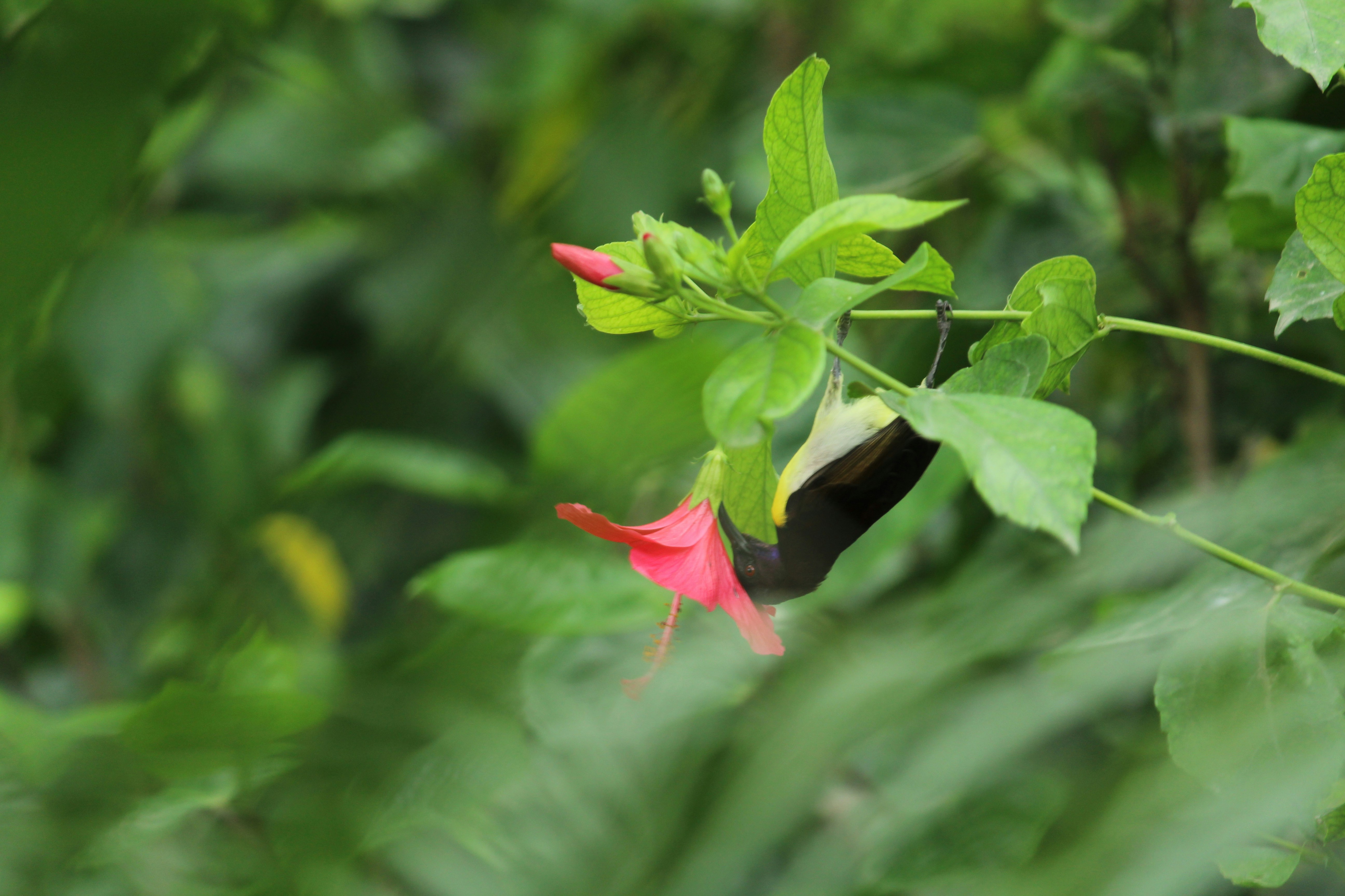 Photo by bhatia_rashmi