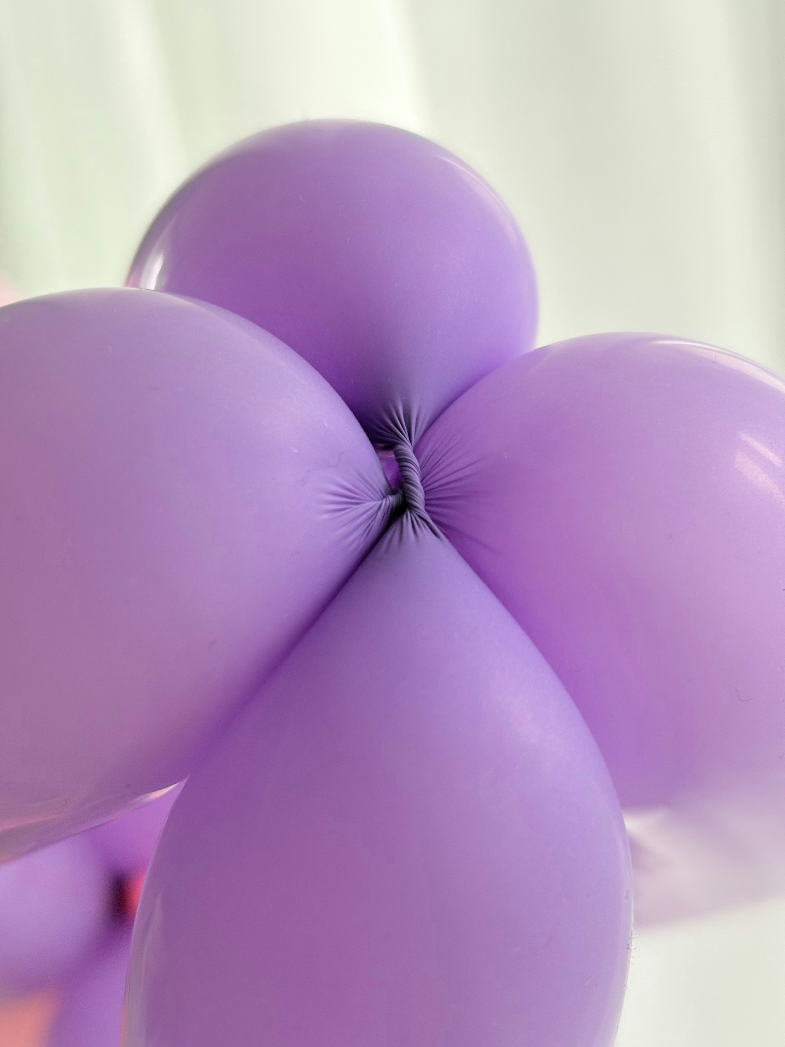 Photo by tashakostyuk