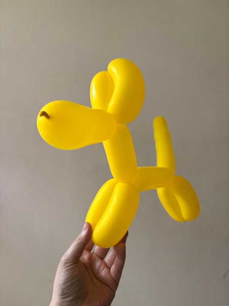 DIY Dog Toys: 15 Easy Homemade Toys Your Dog Will Love