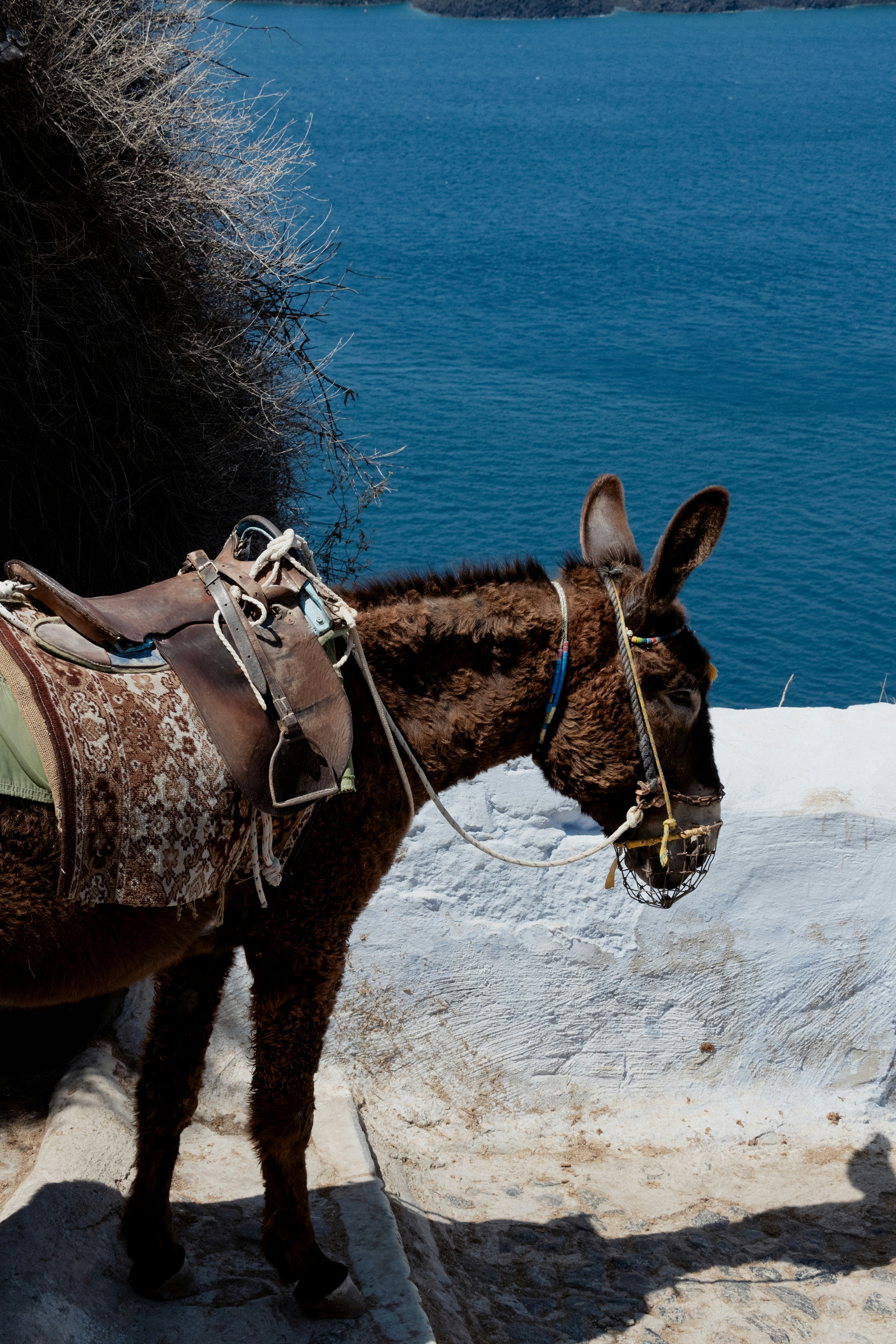 Photo by nathan_wong