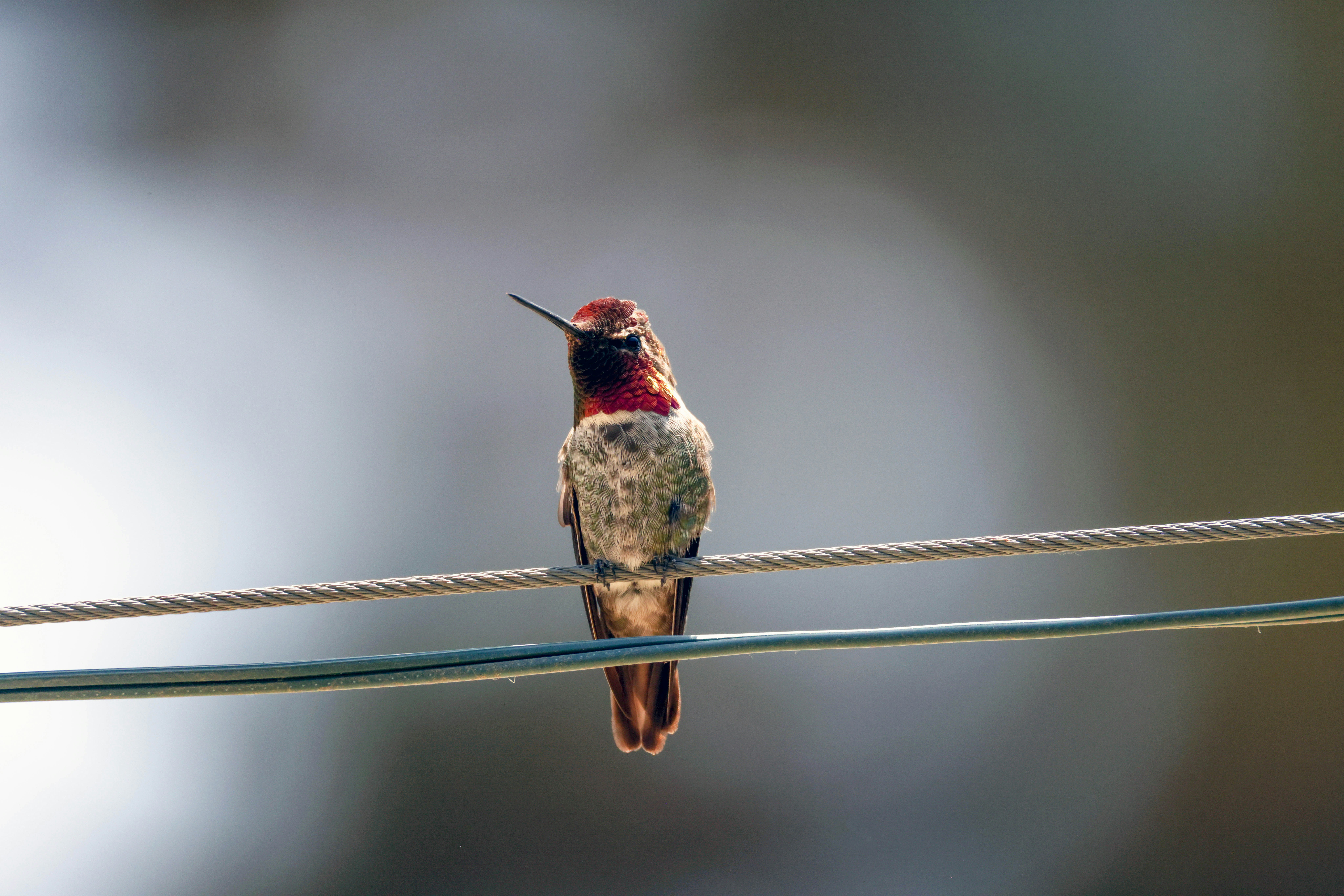 Photo by waykanstudio