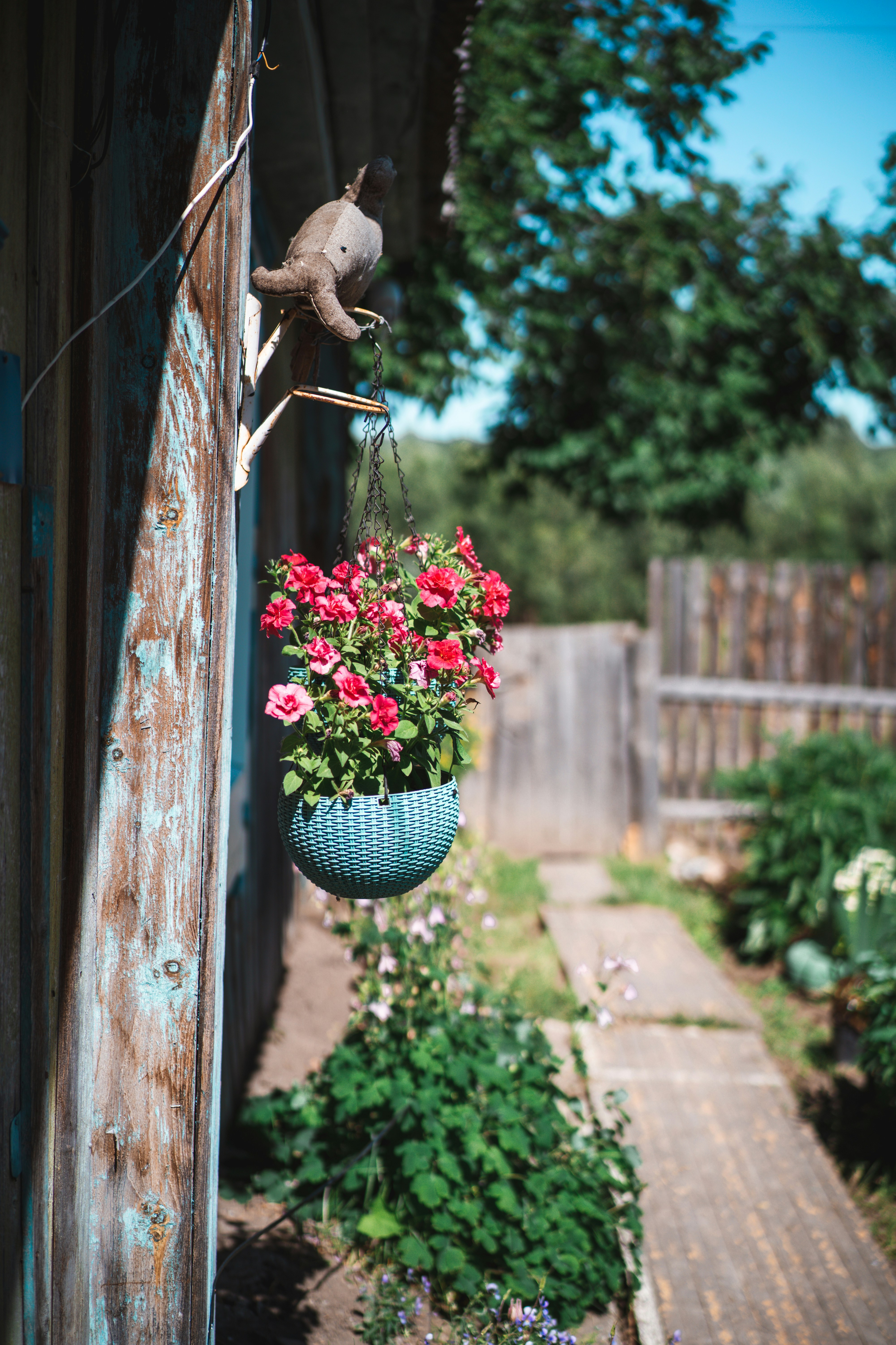 Photo by anamnesis33