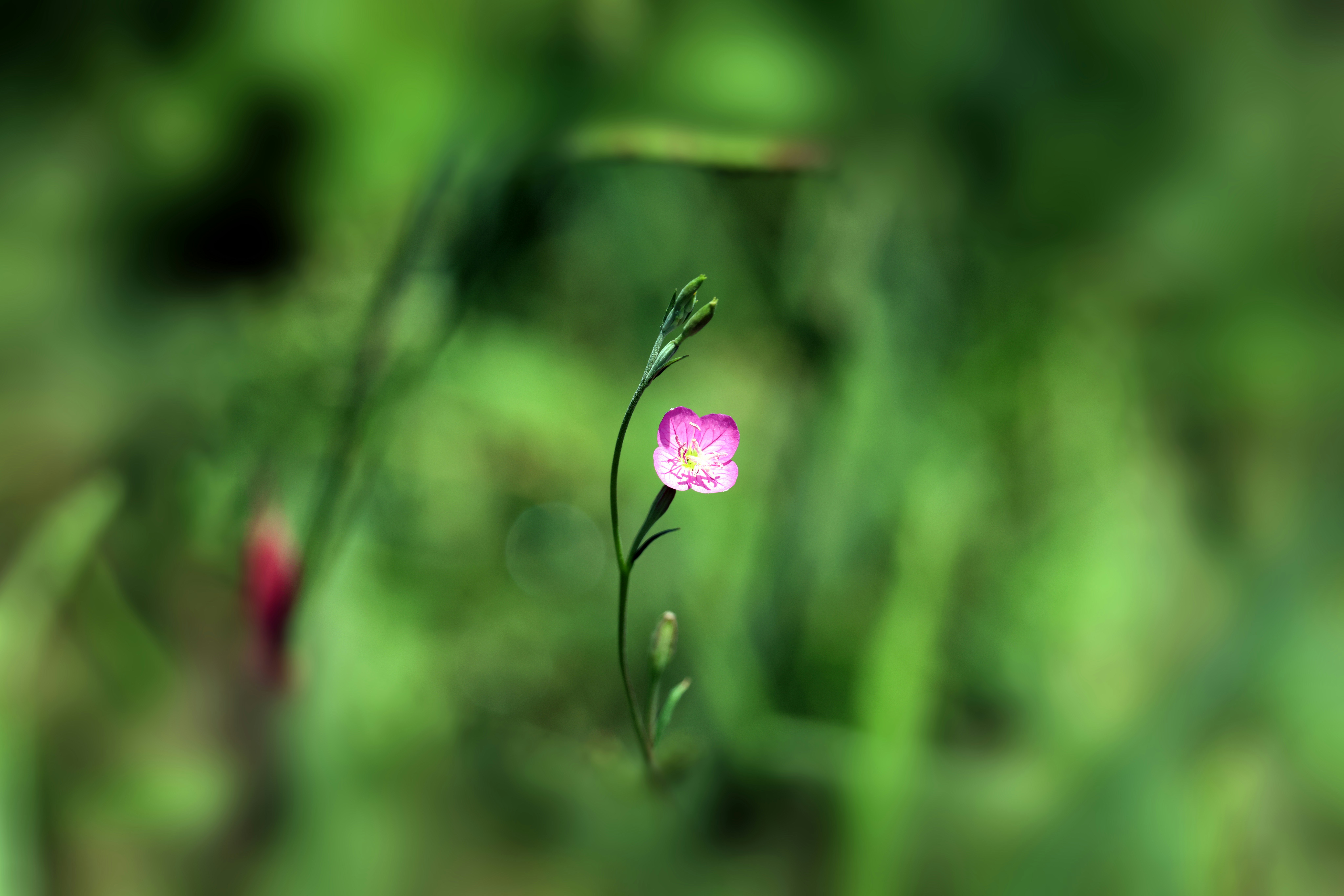 Photo by waykanstudio