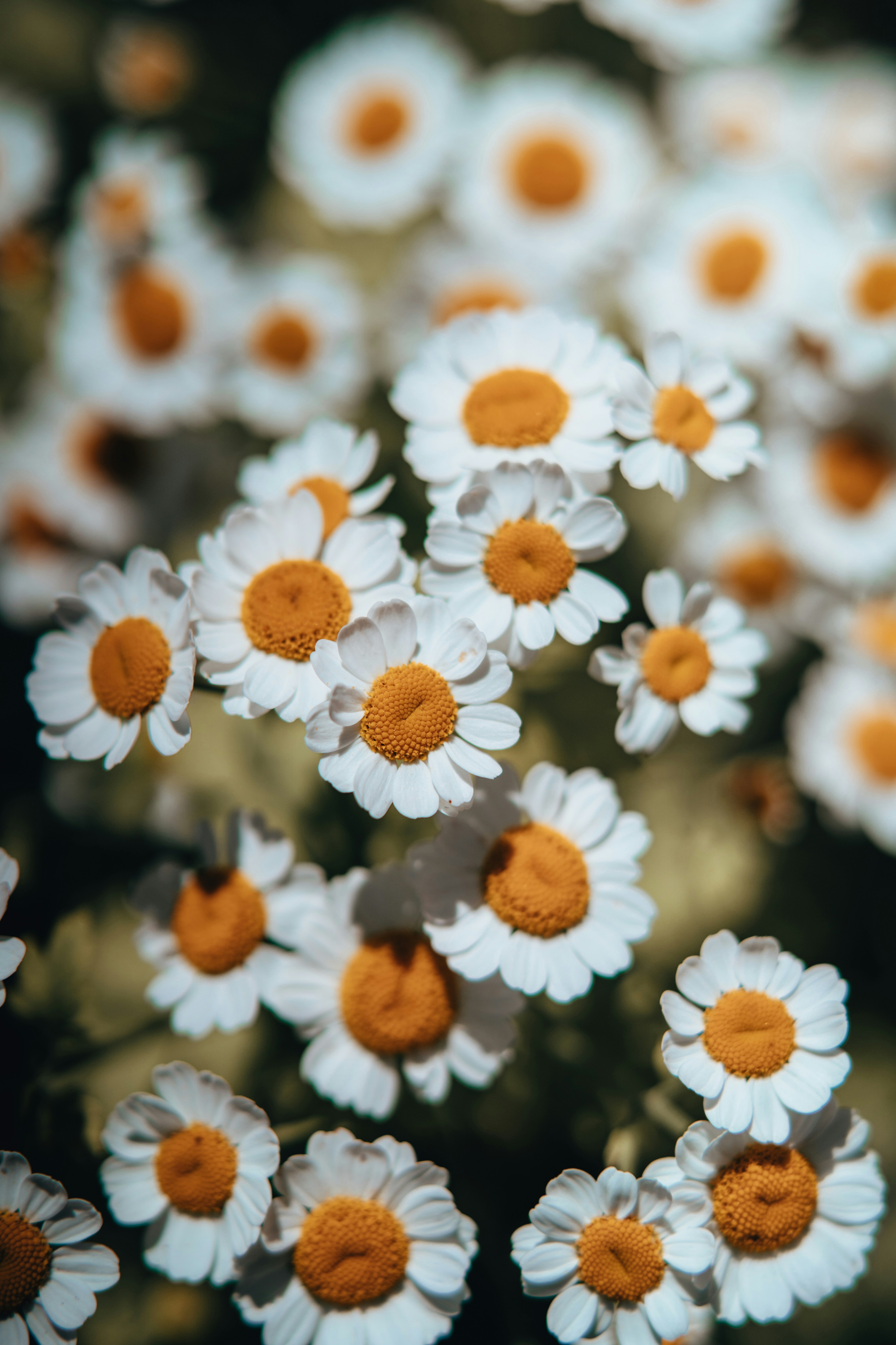 Photo by anamnesis33