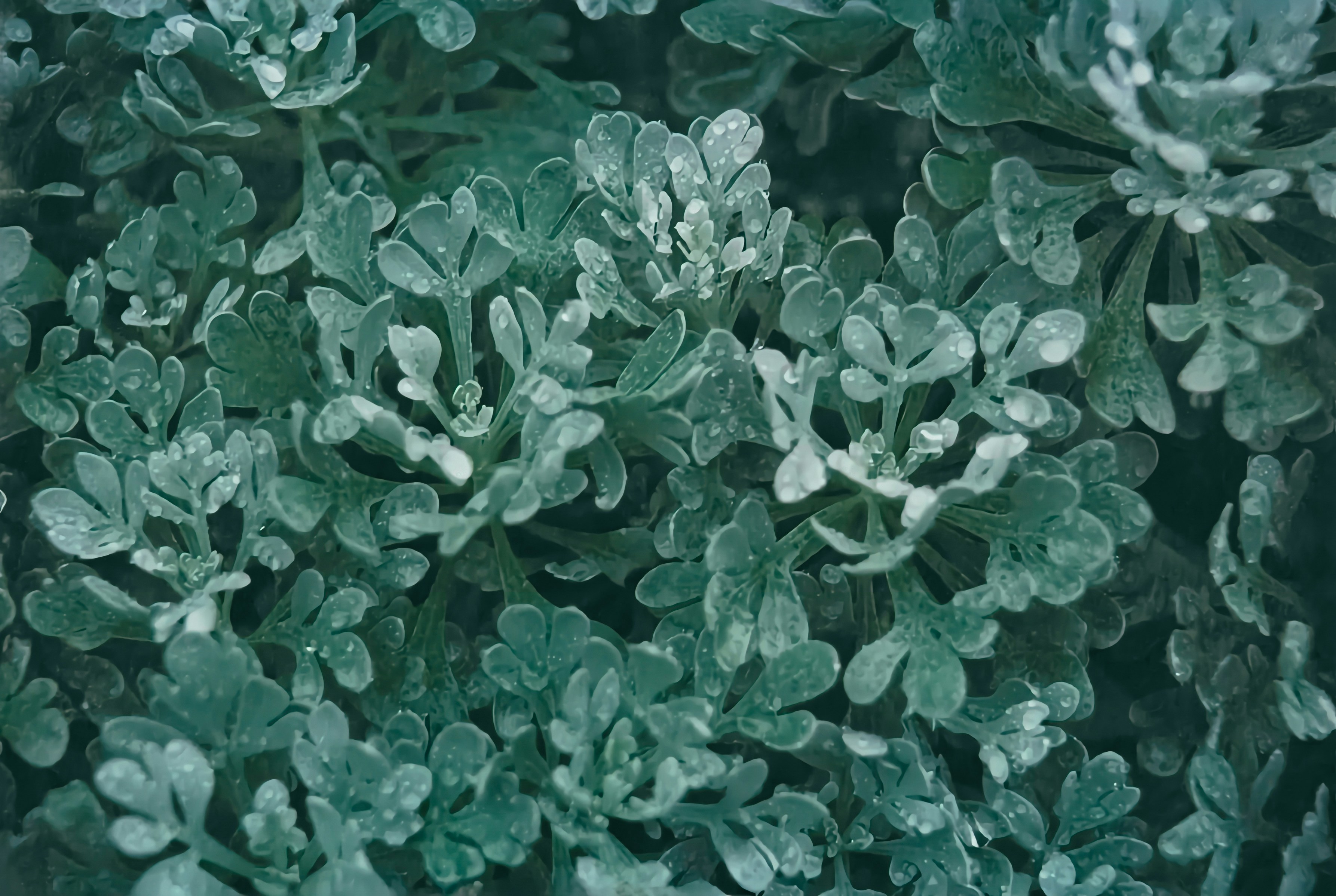 Photo by potatonorim