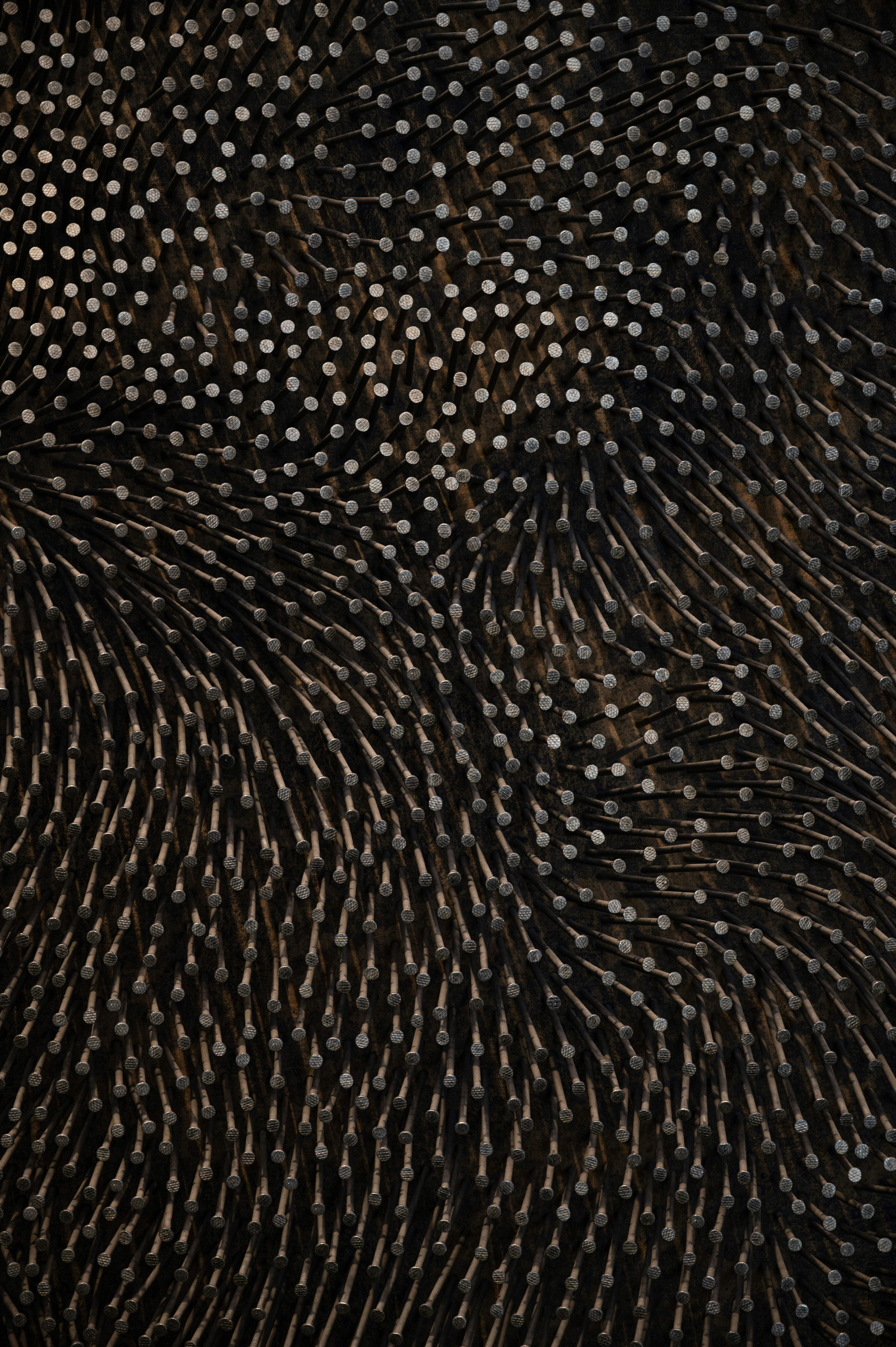 Photo by luca_severin