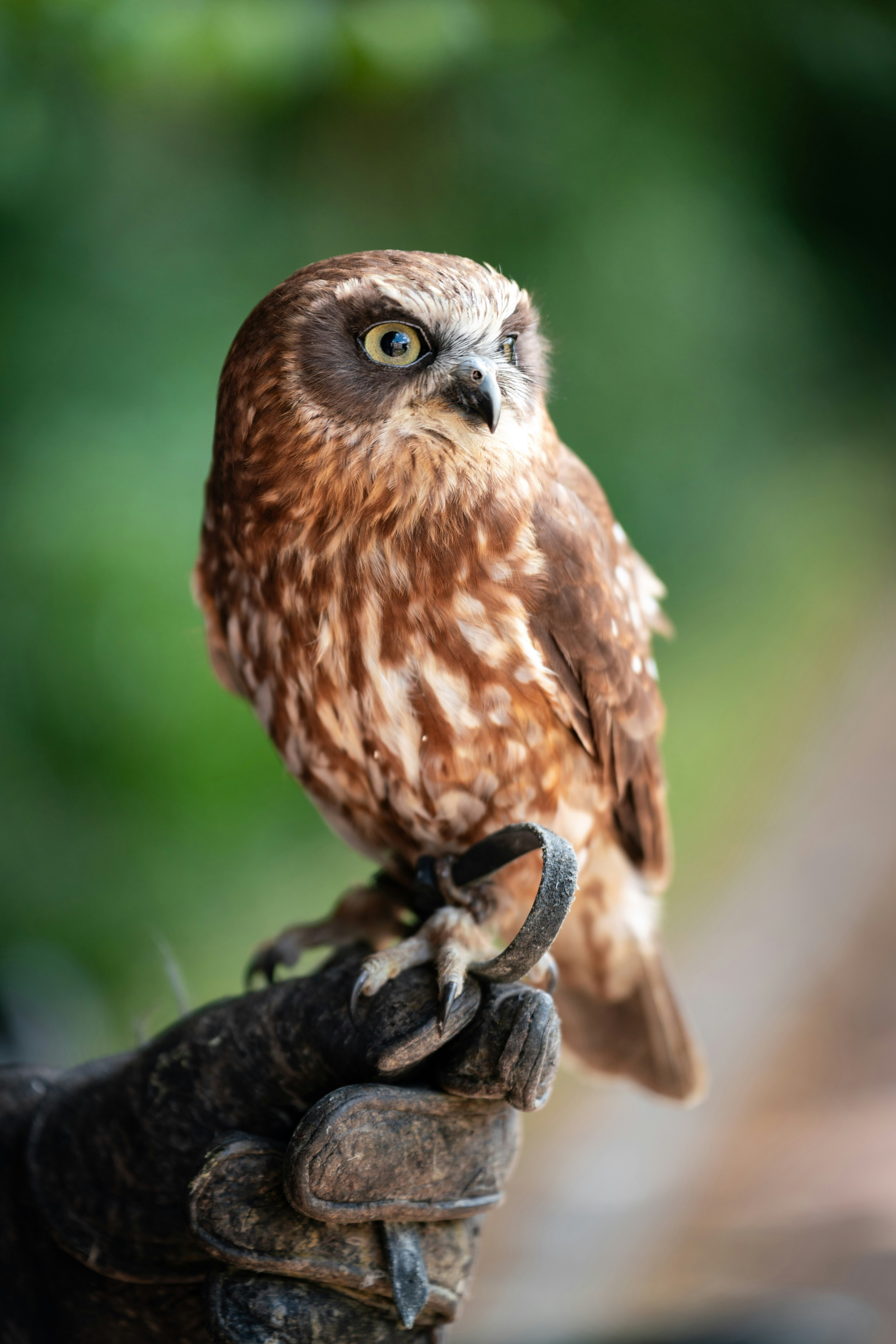 Photo by michaelfousert