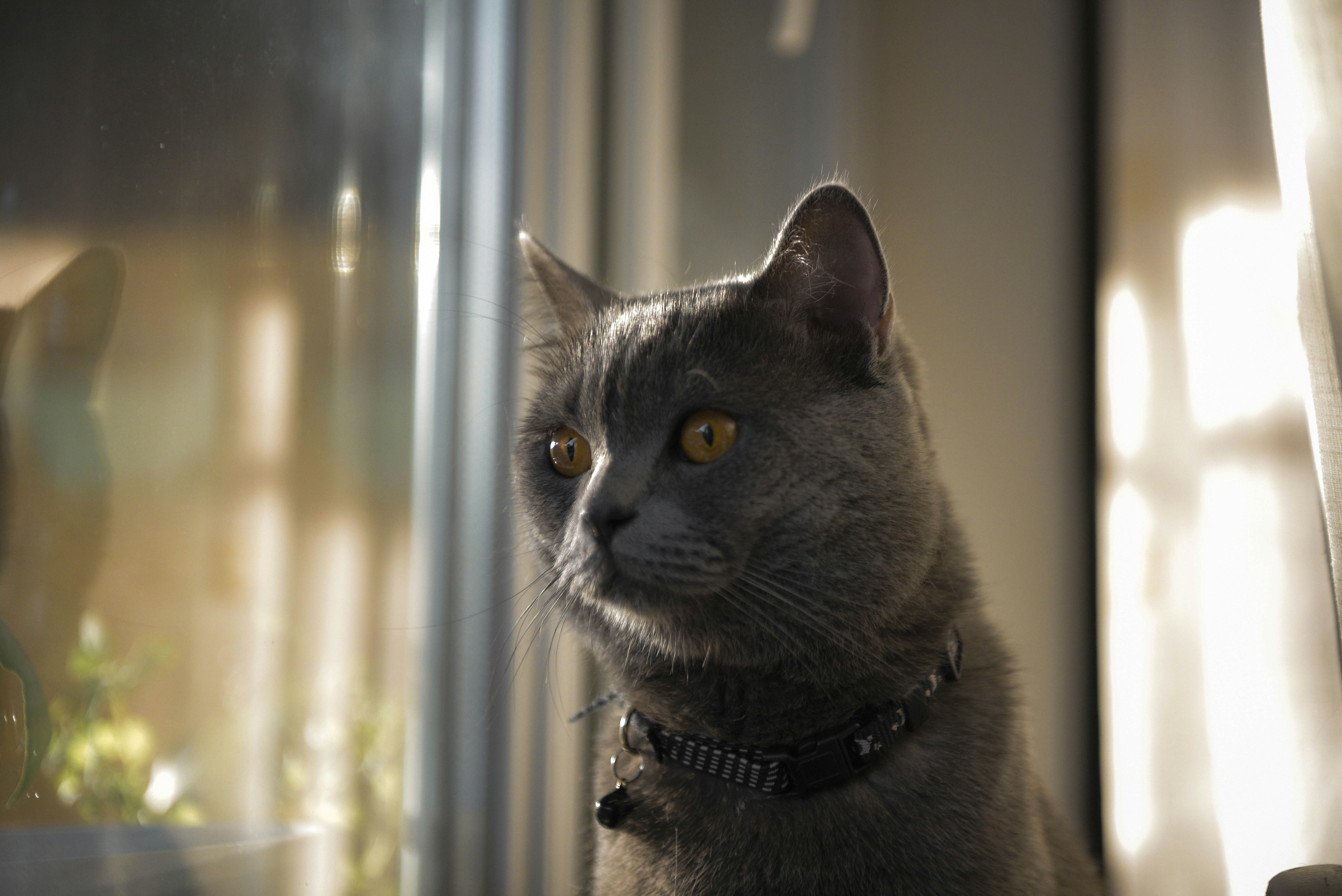 Photo by berlioz_froggy