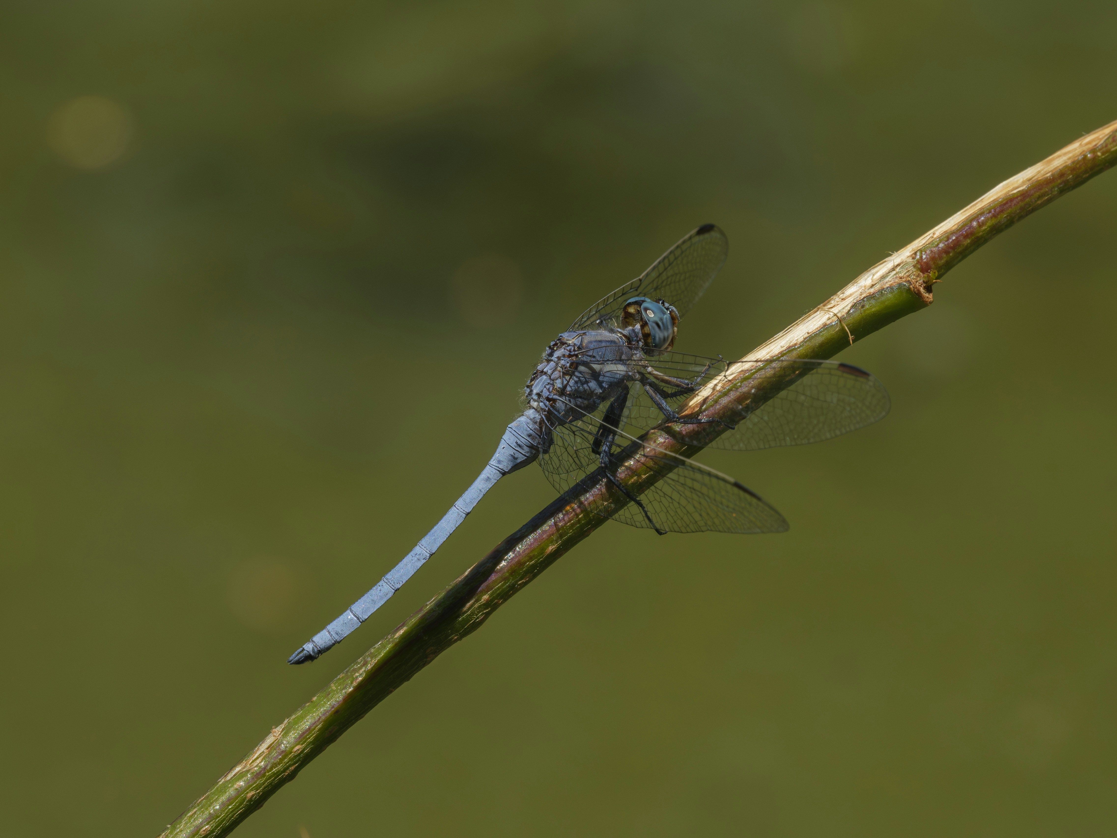 Photo by enginakyurt