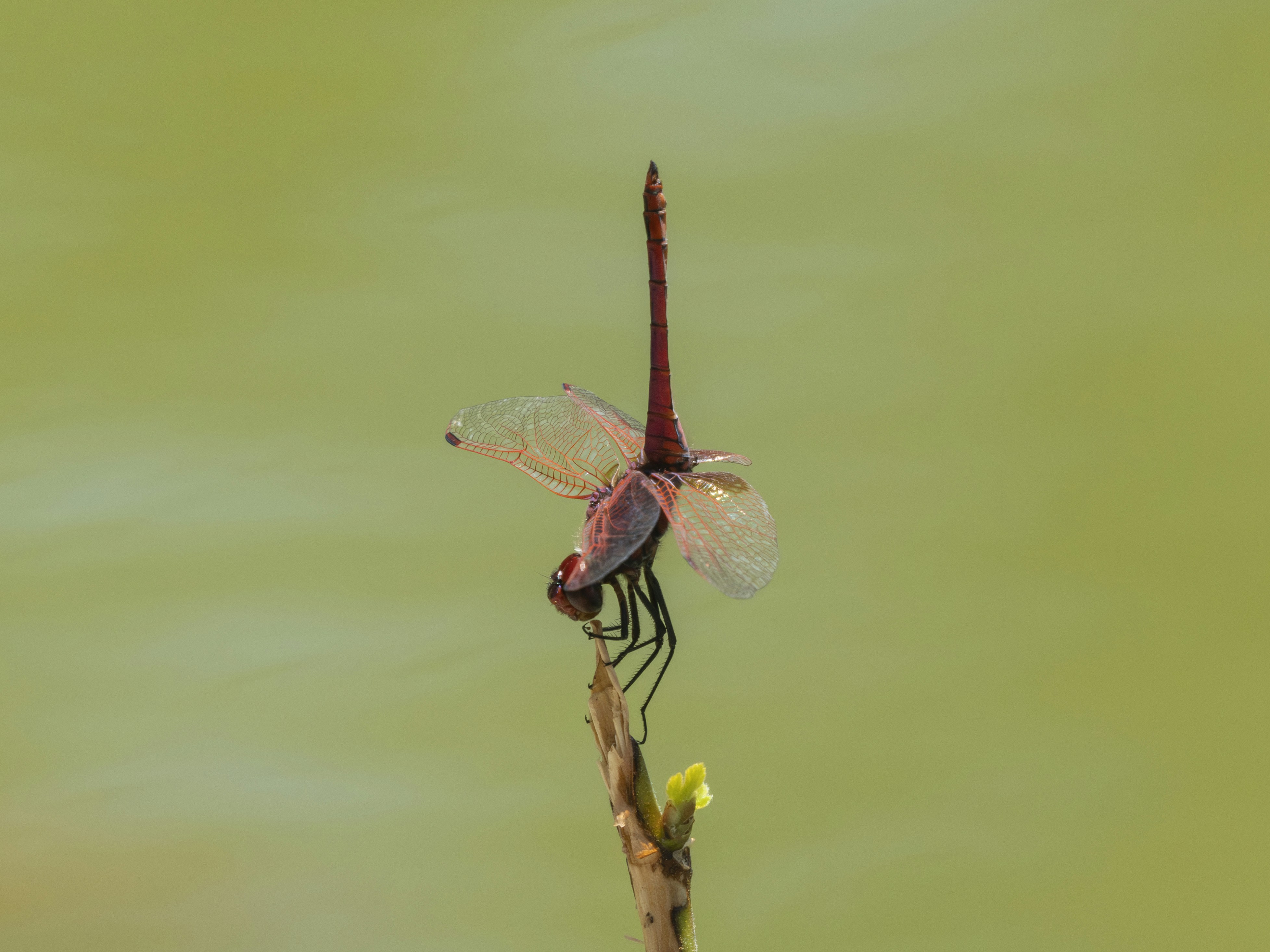 Photo by enginakyurt