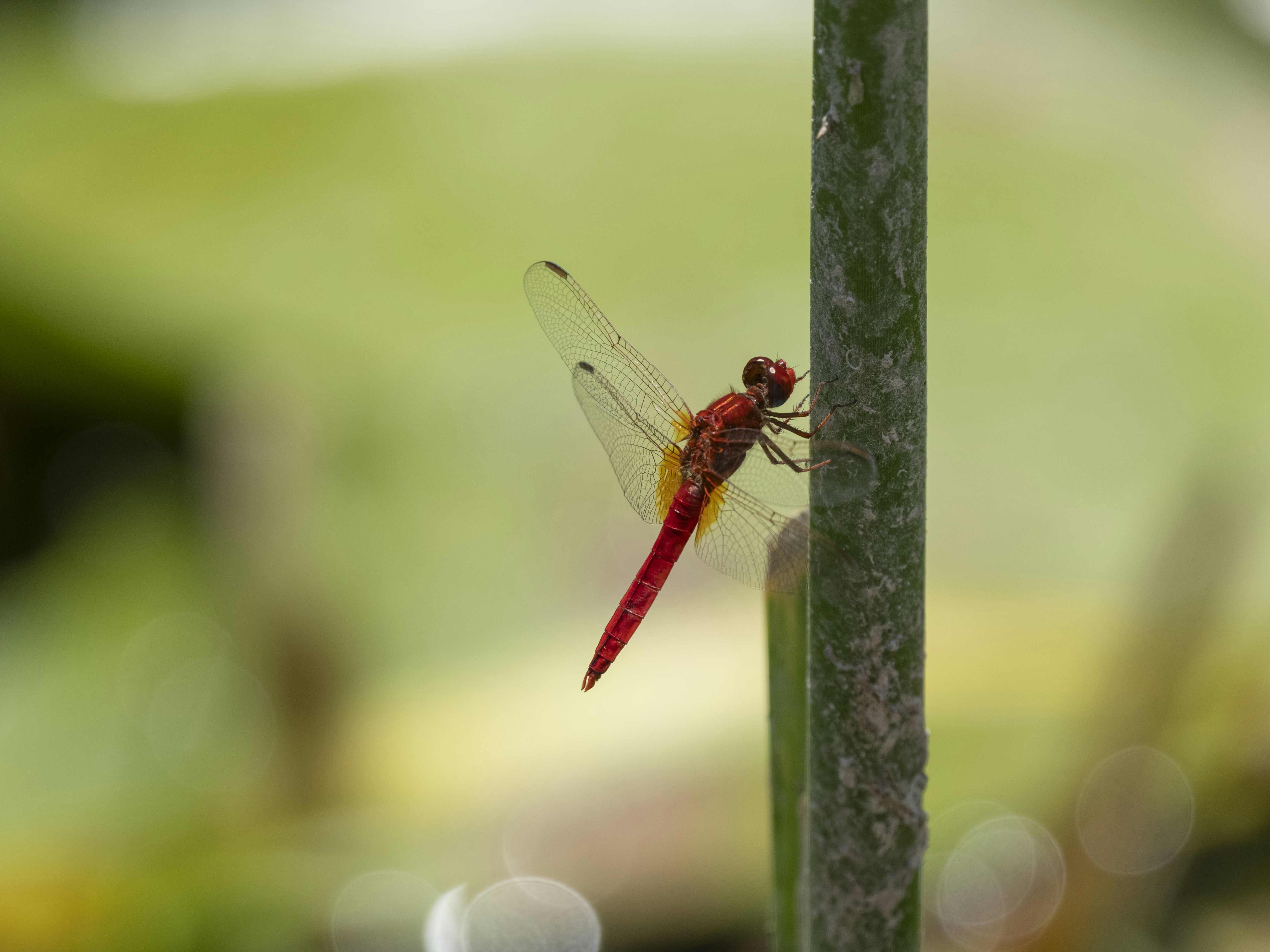 Photo by enginakyurt