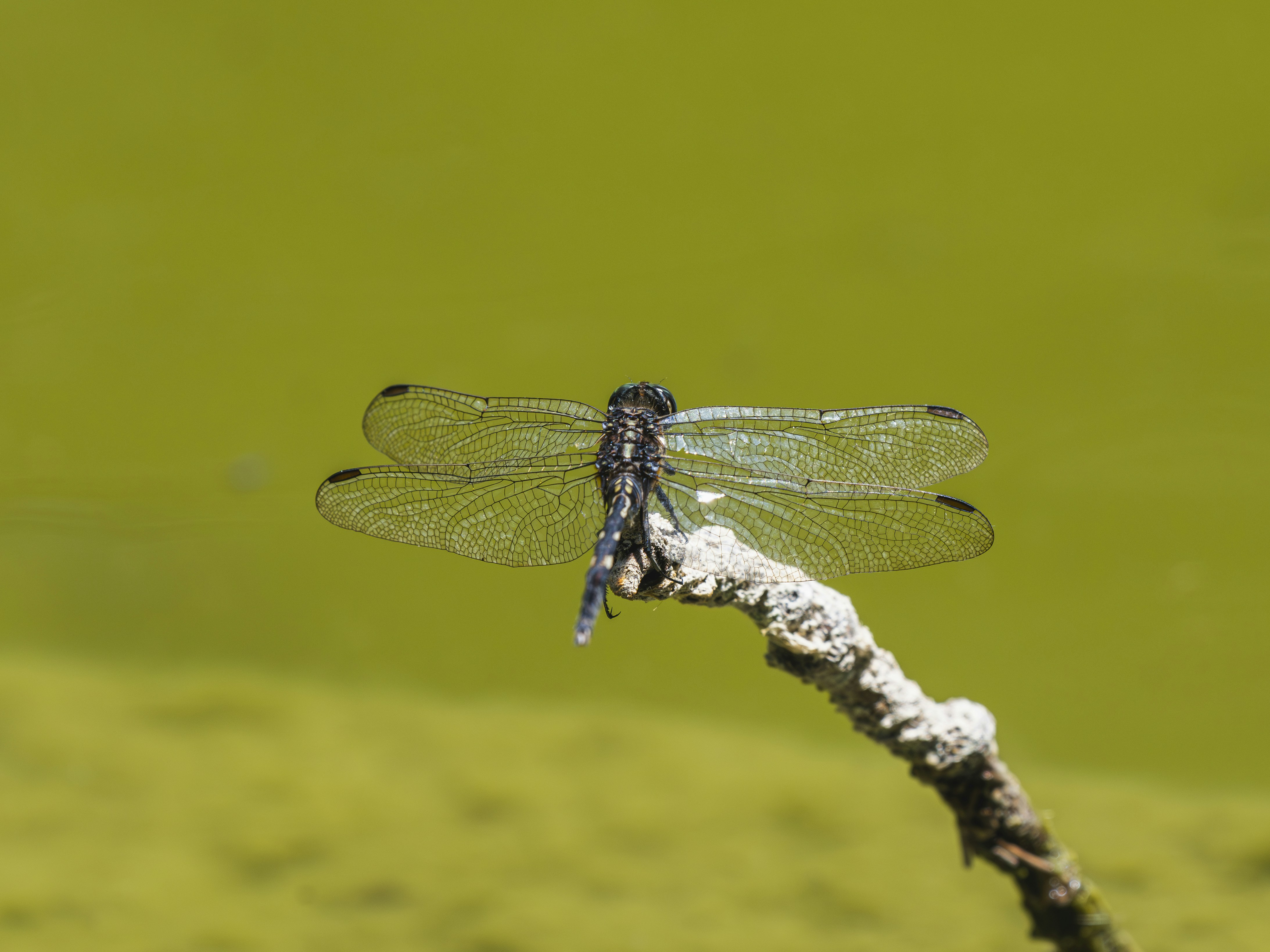 Photo by enginakyurt