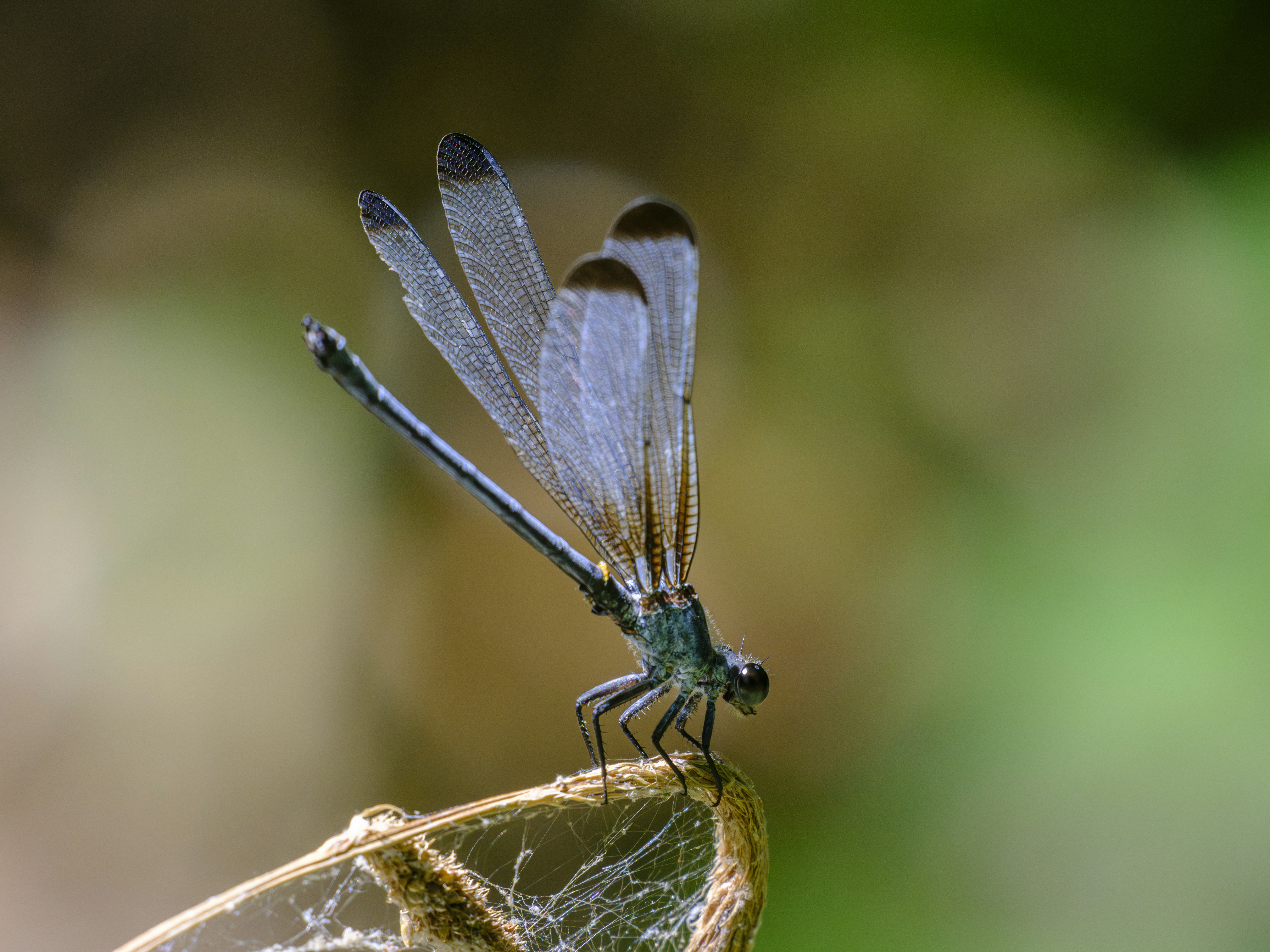 Photo by enginakyurt