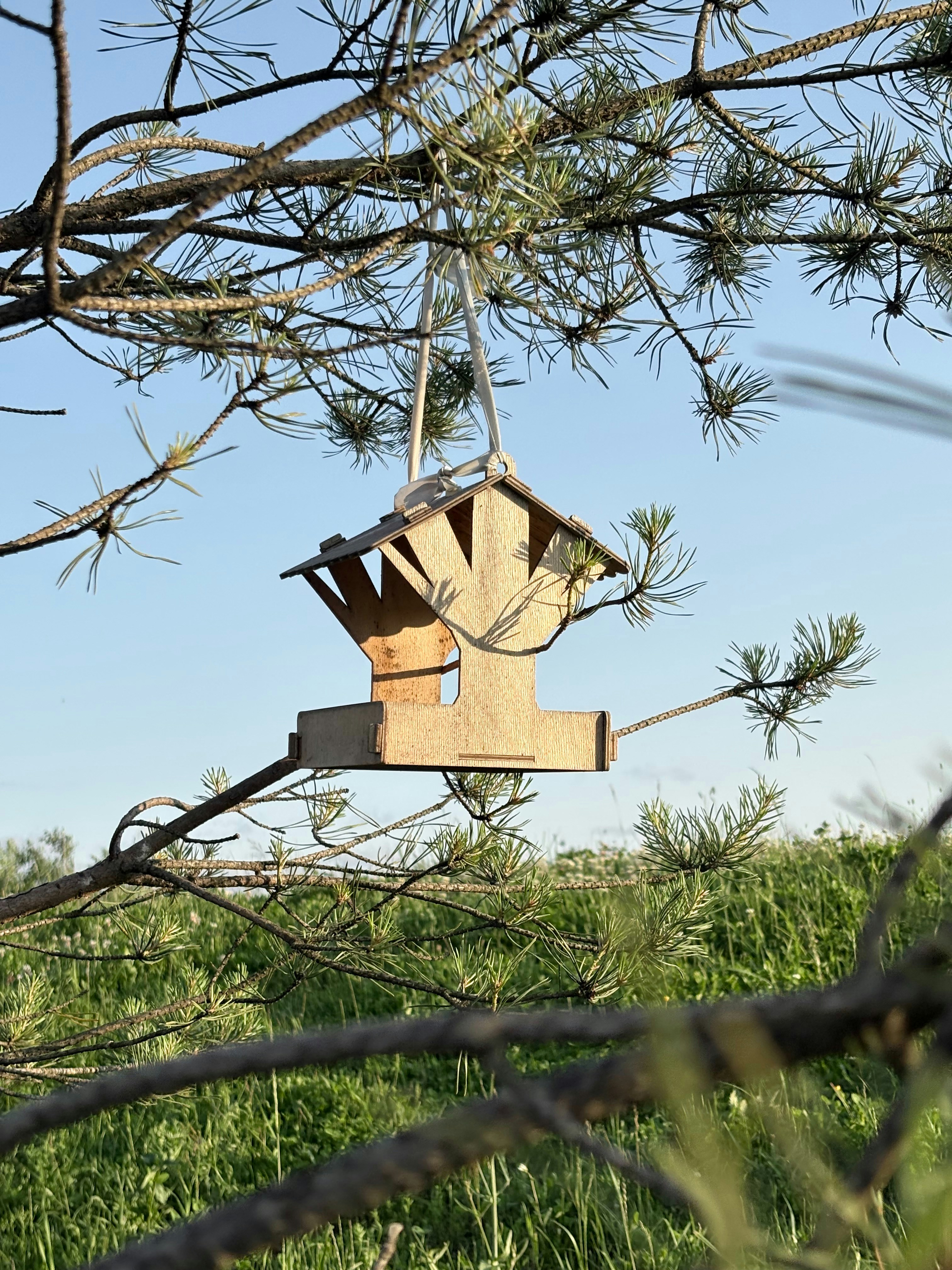 A bird feeder hangs from a tree branch.