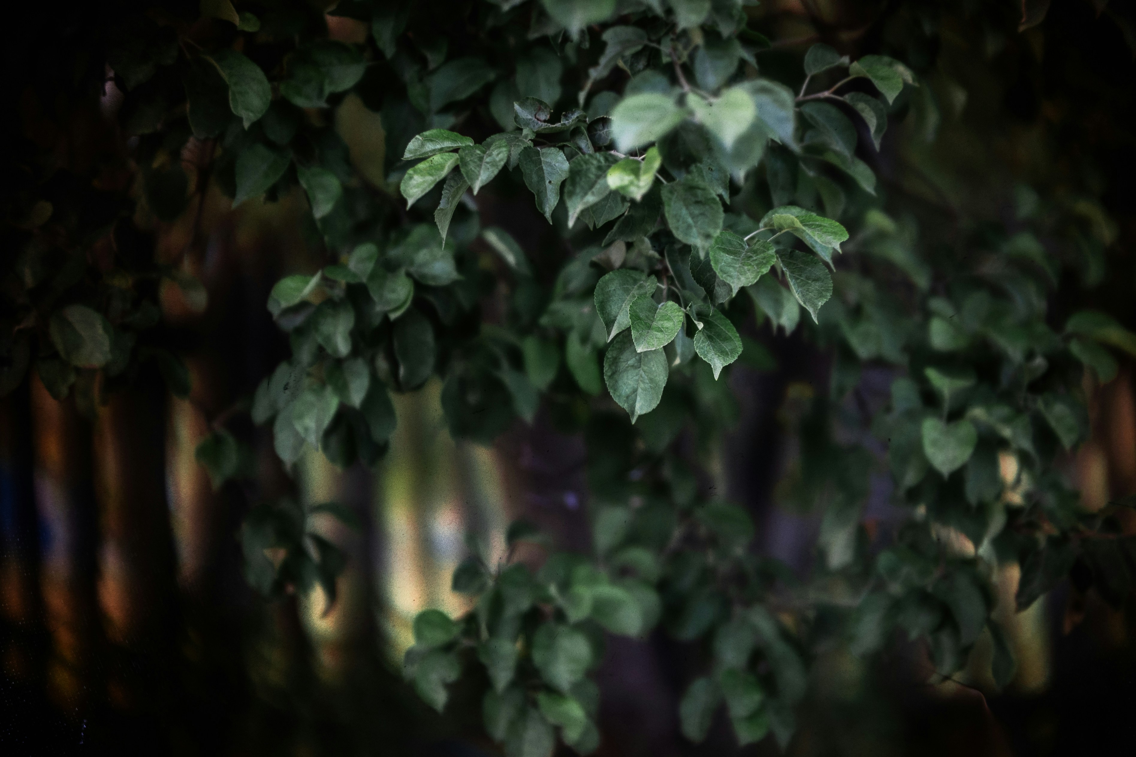 Photo by andrilliardbond