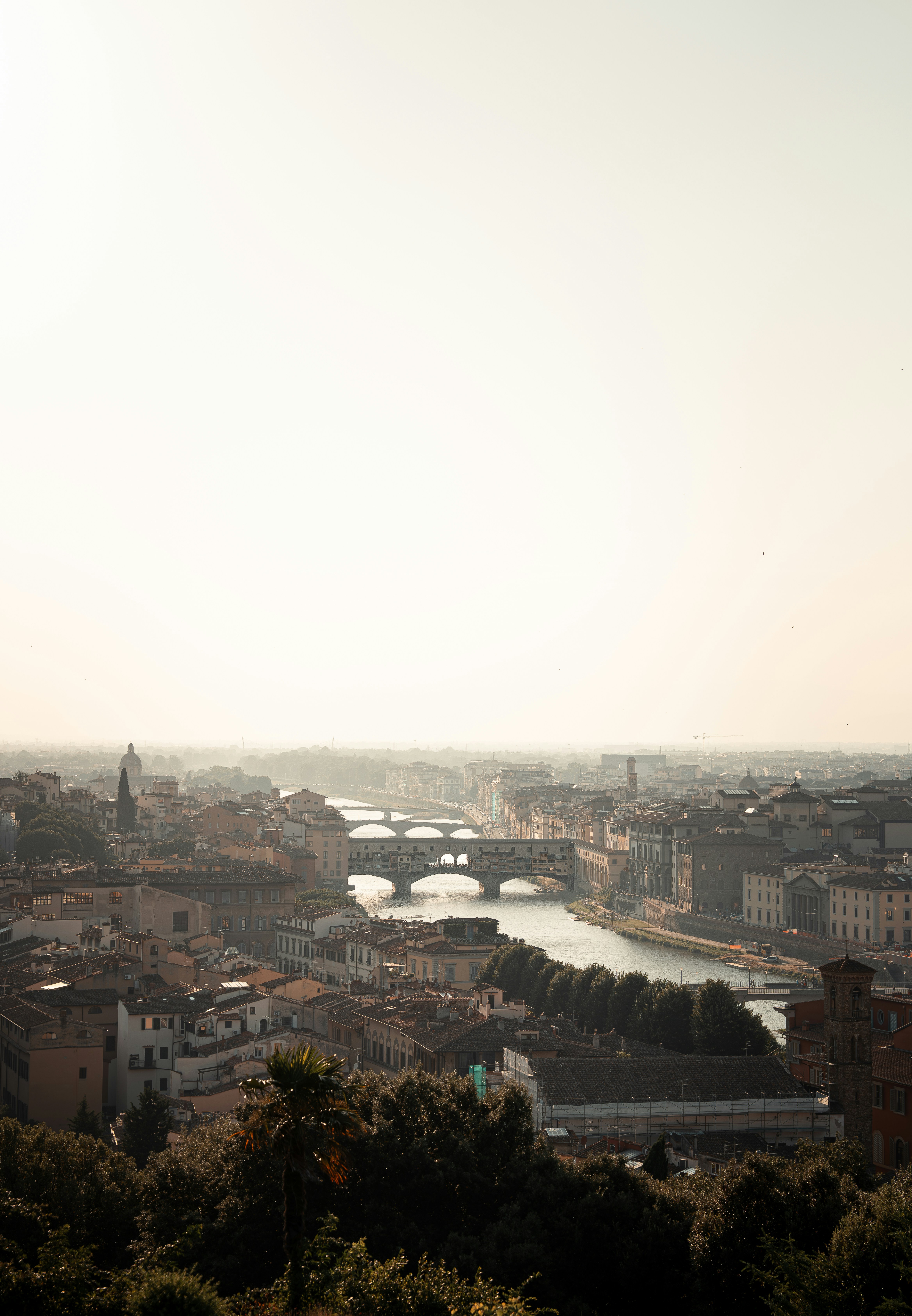 Photo by tlamtran_11