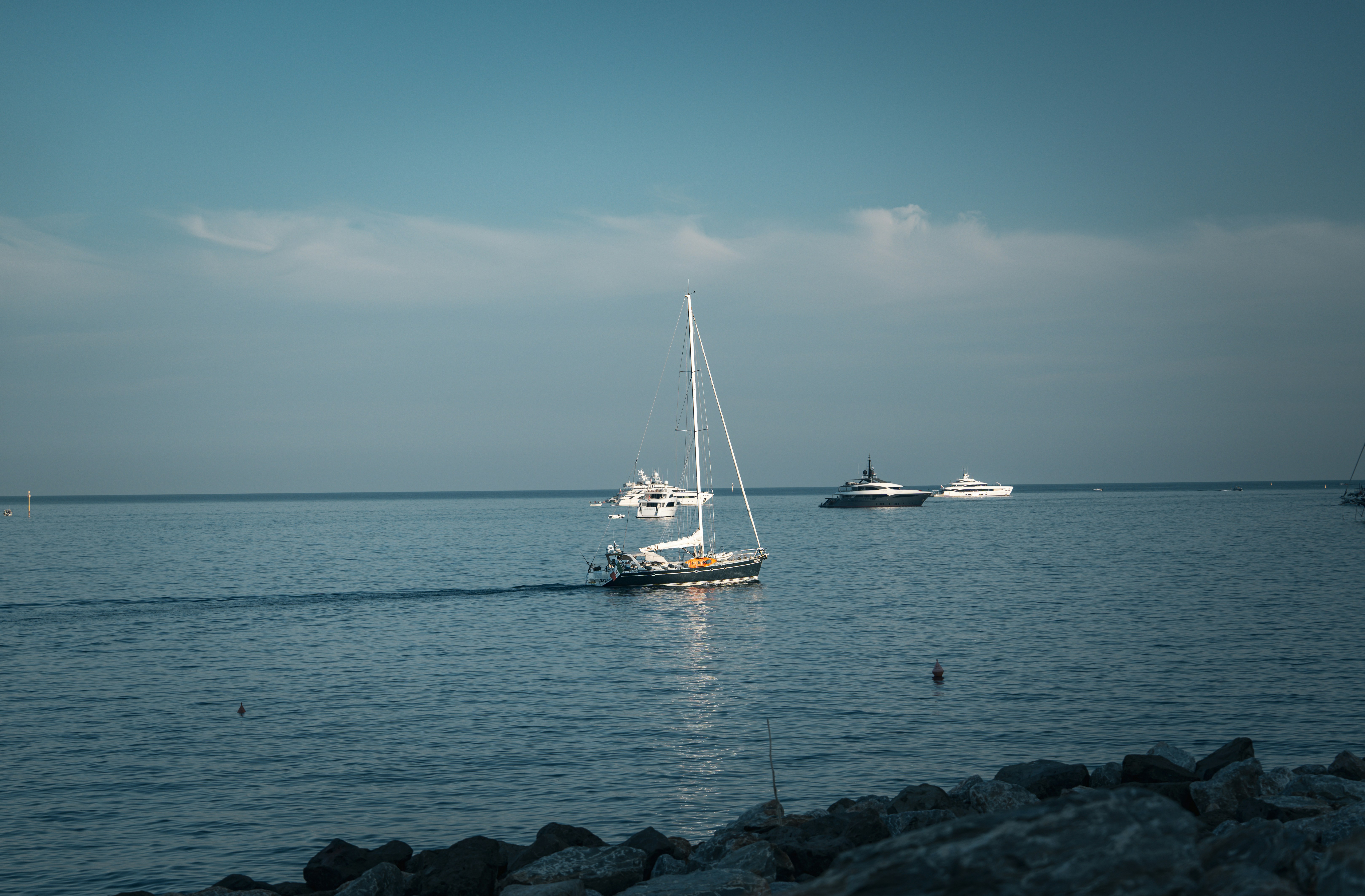 Photo by tlamtran_11