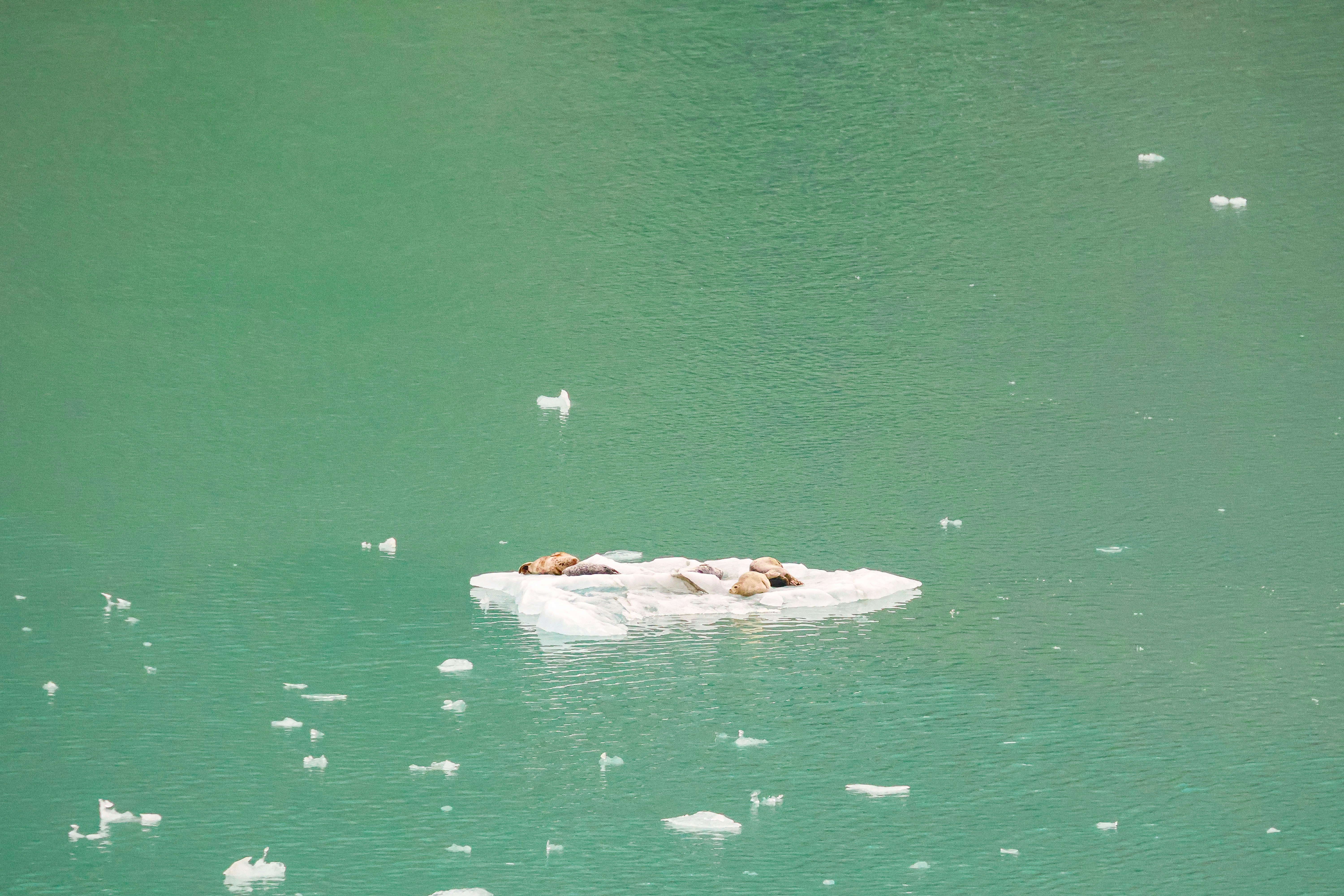 Photo by traveleroohlala