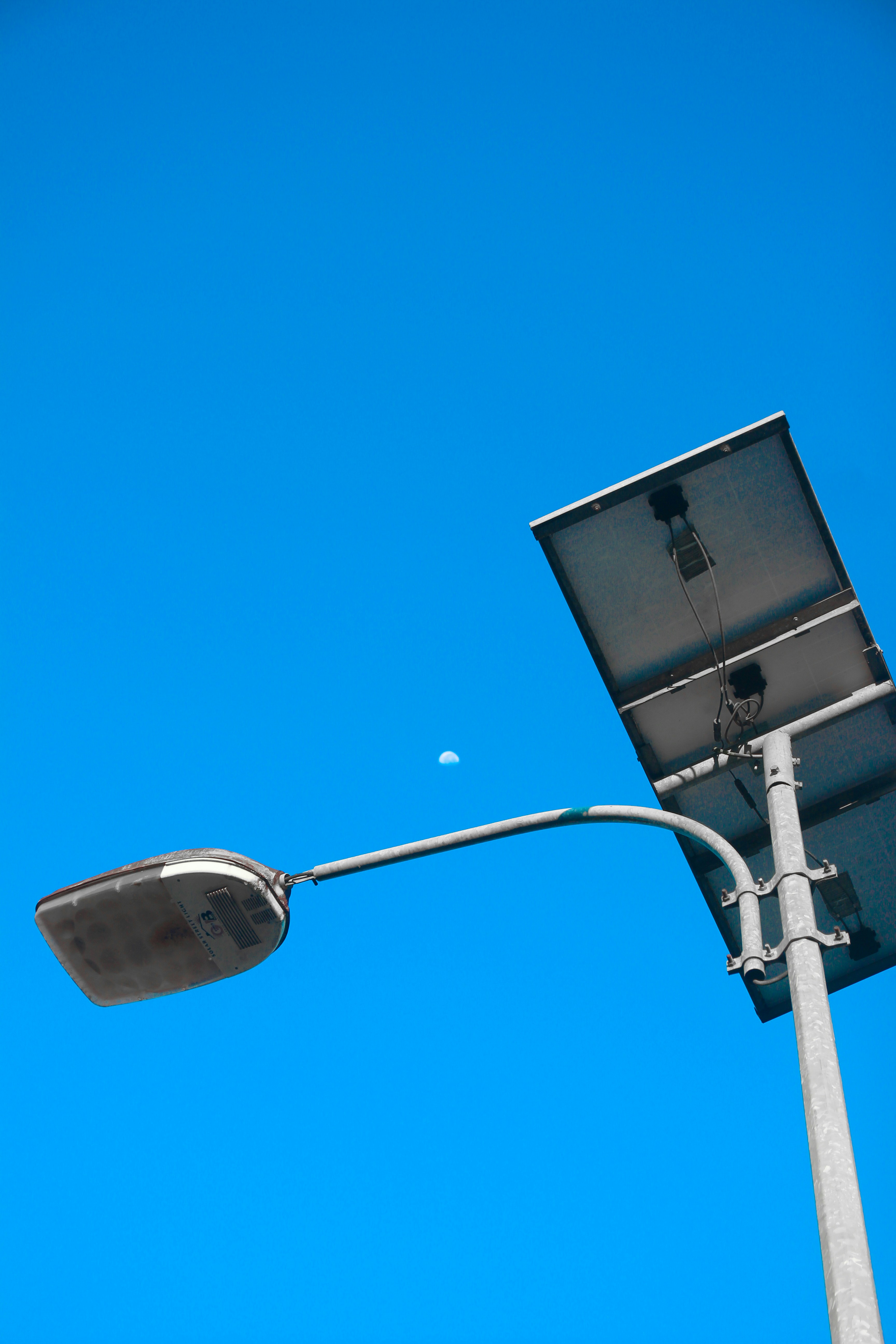 Photo by momonstar08