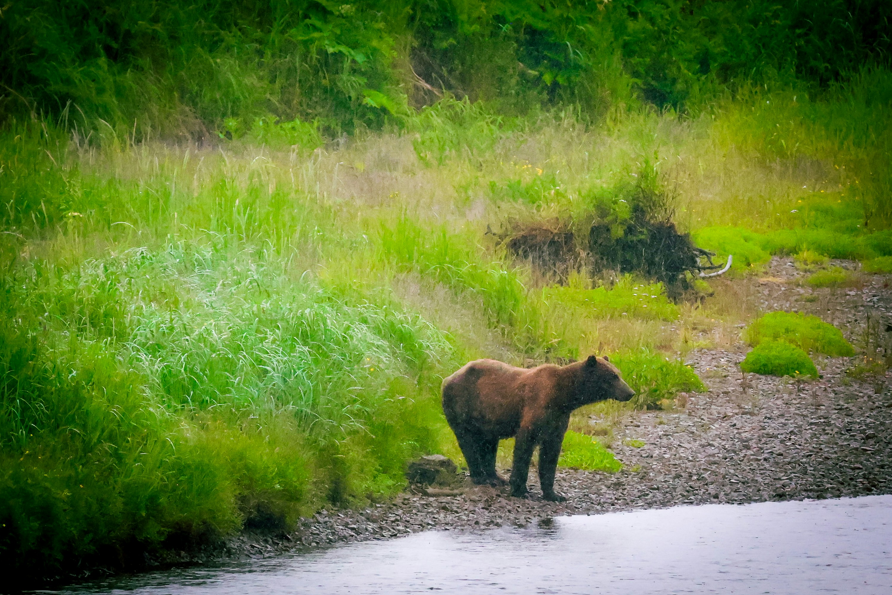 Photo by traveleroohlala