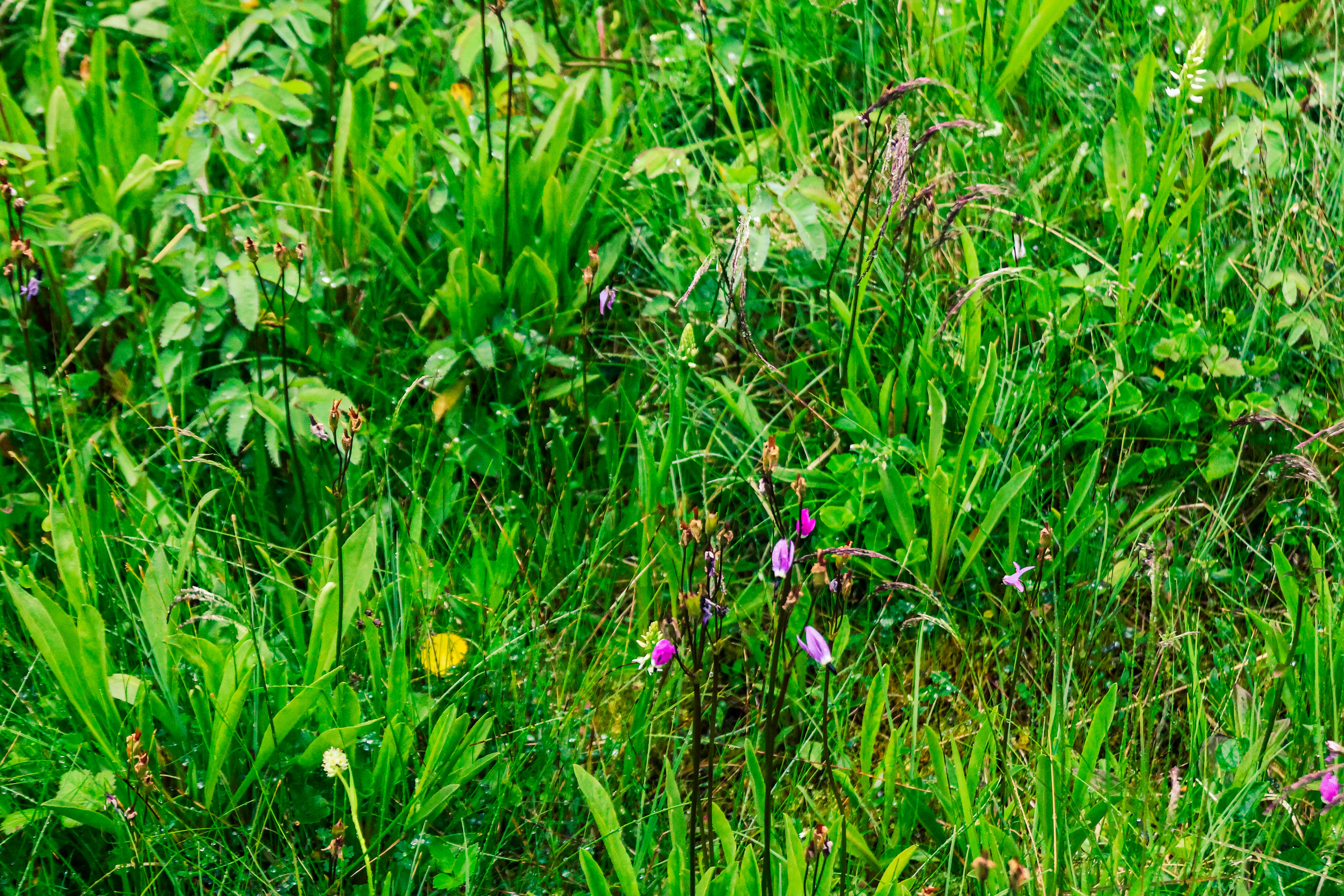 Photo by traveleroohlala