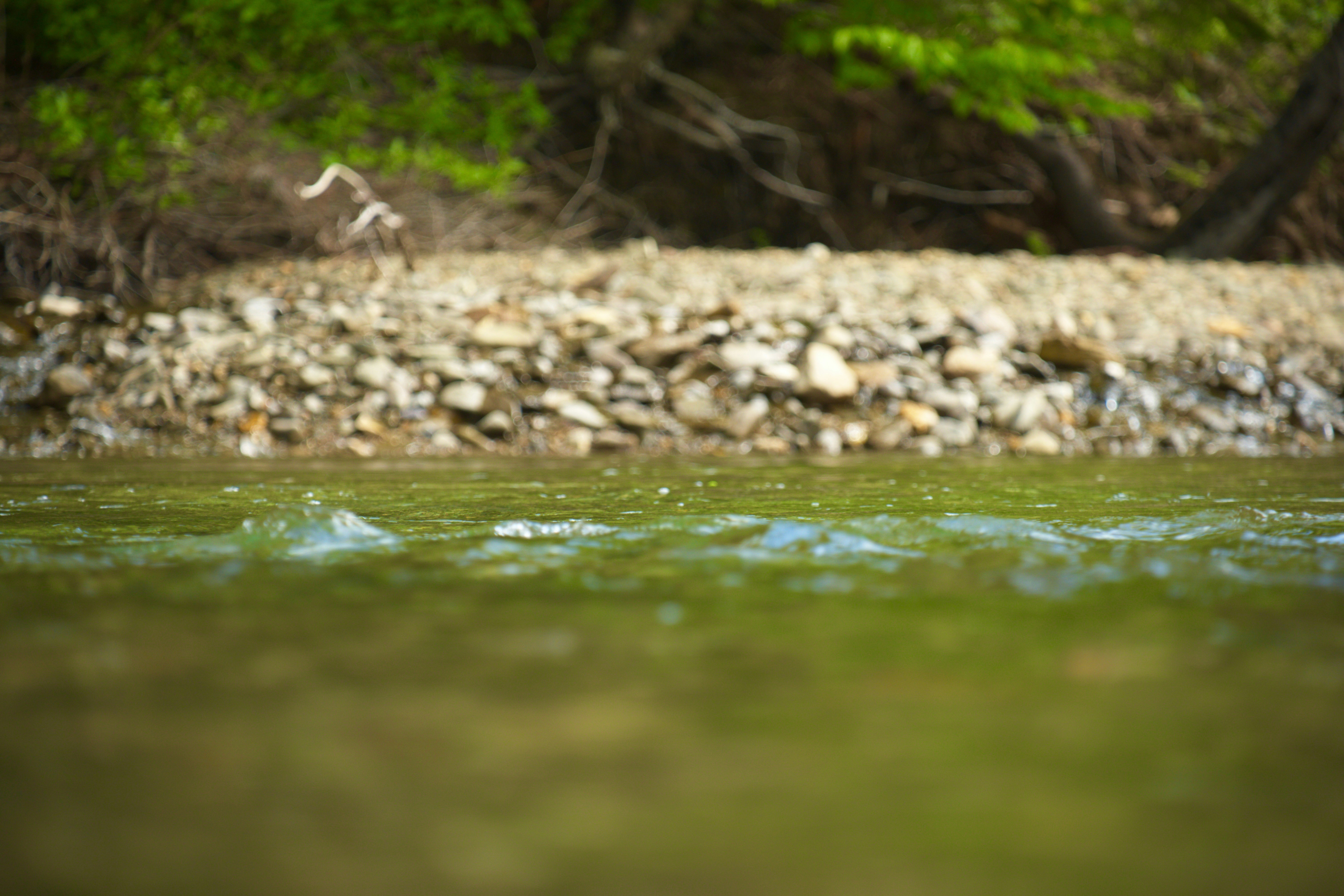 Photo by zakarydussault