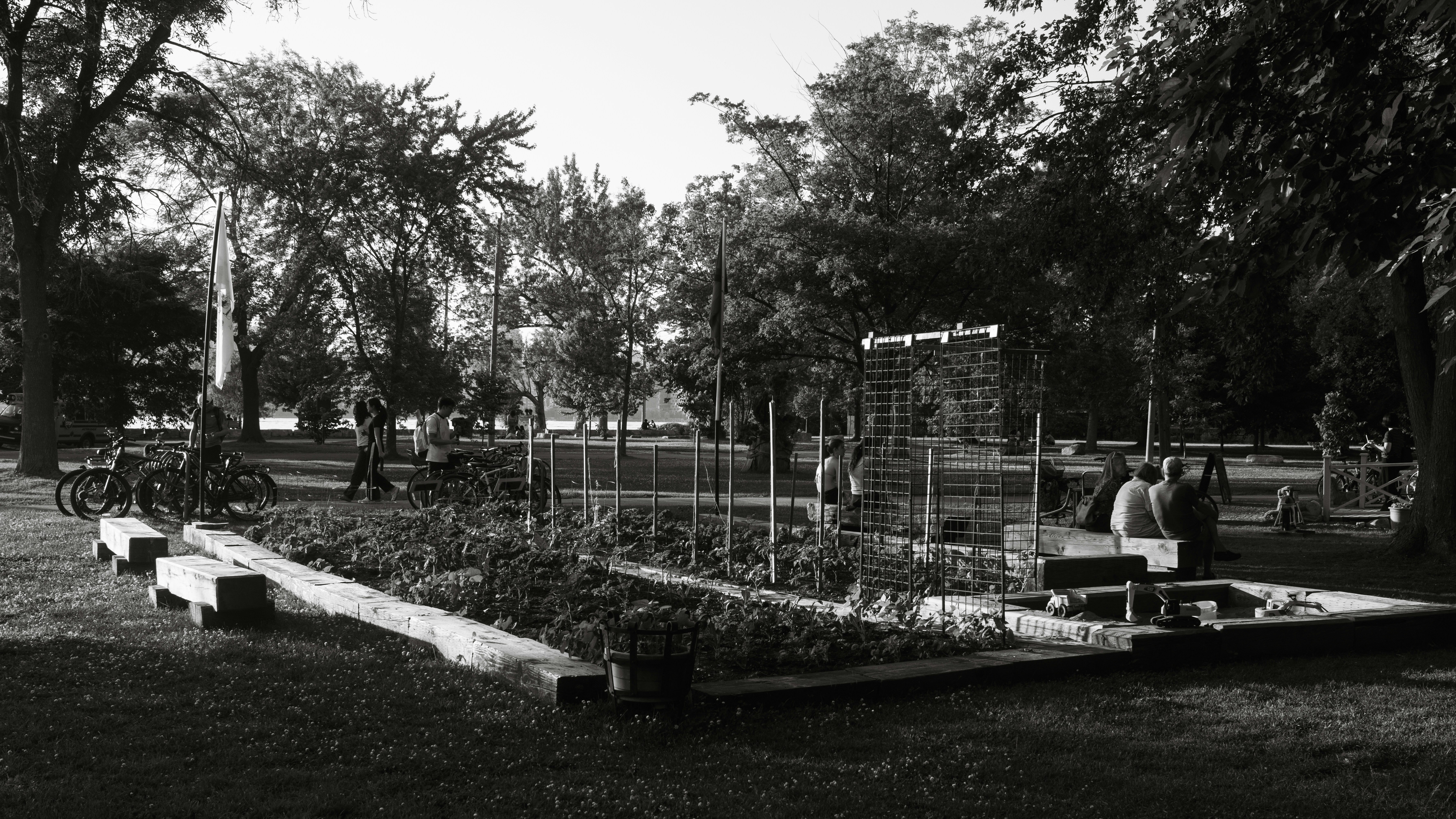 Stadium Park - Trailhead
