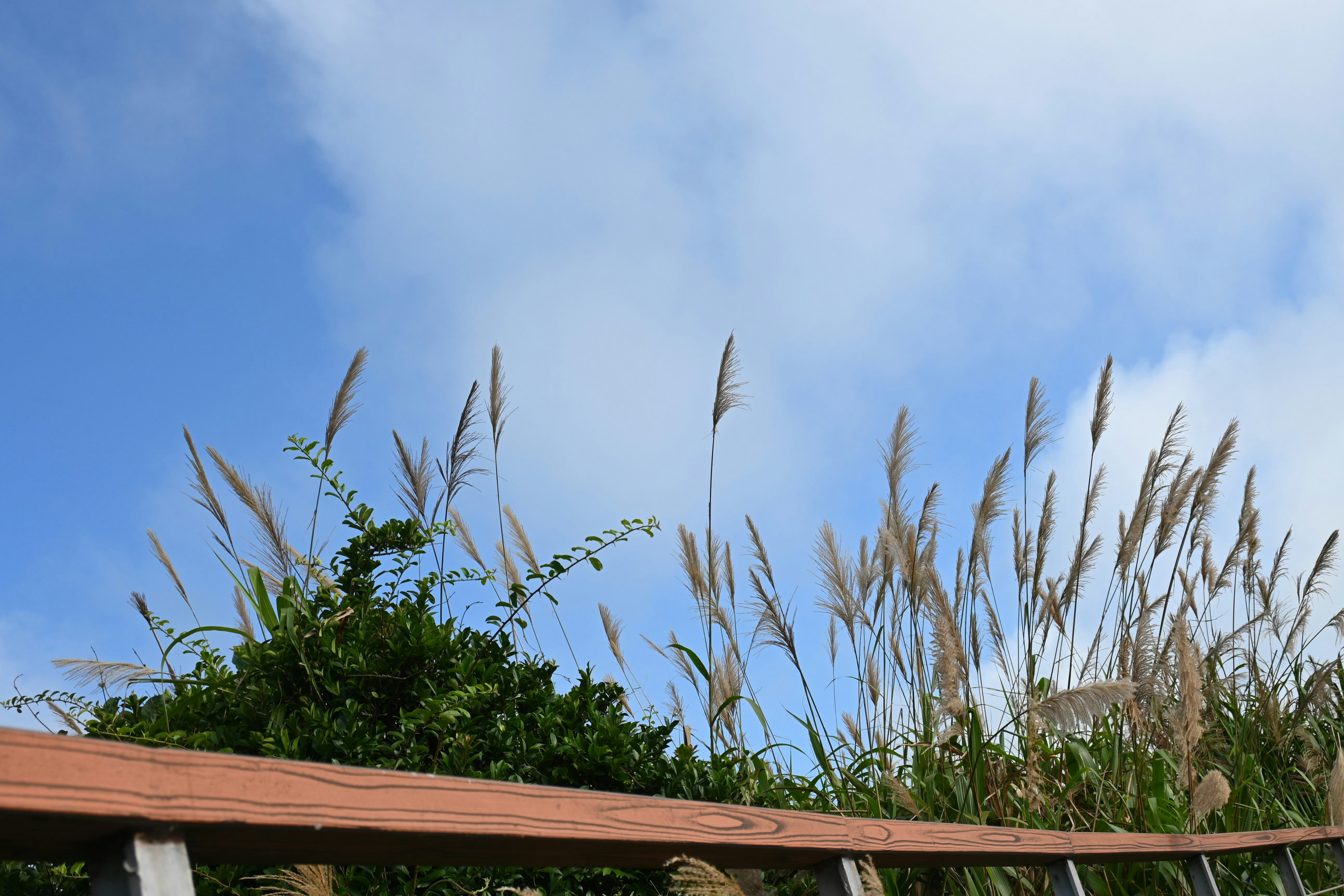 Photo by lancelot0531