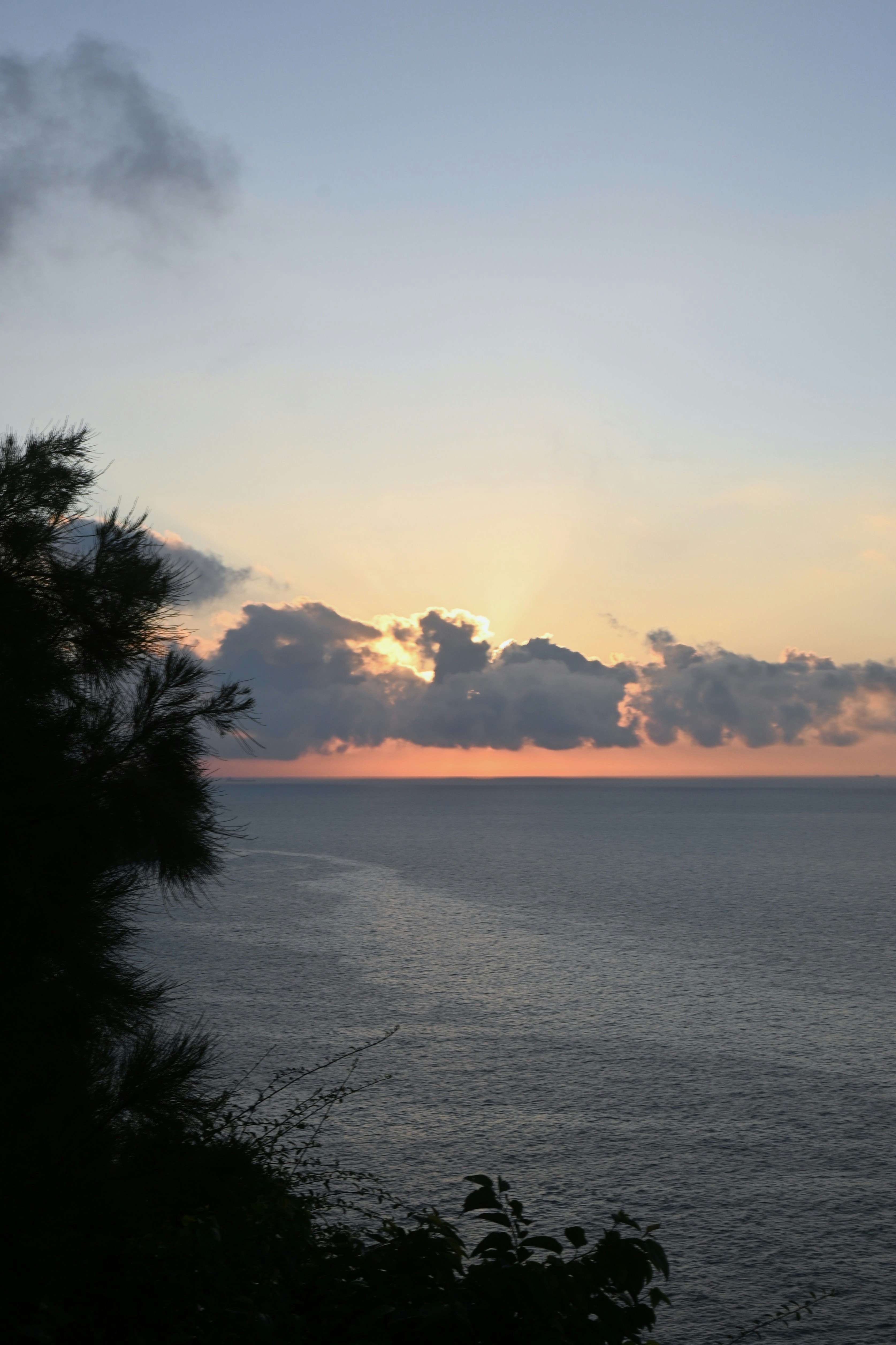Photo by lancelot0531