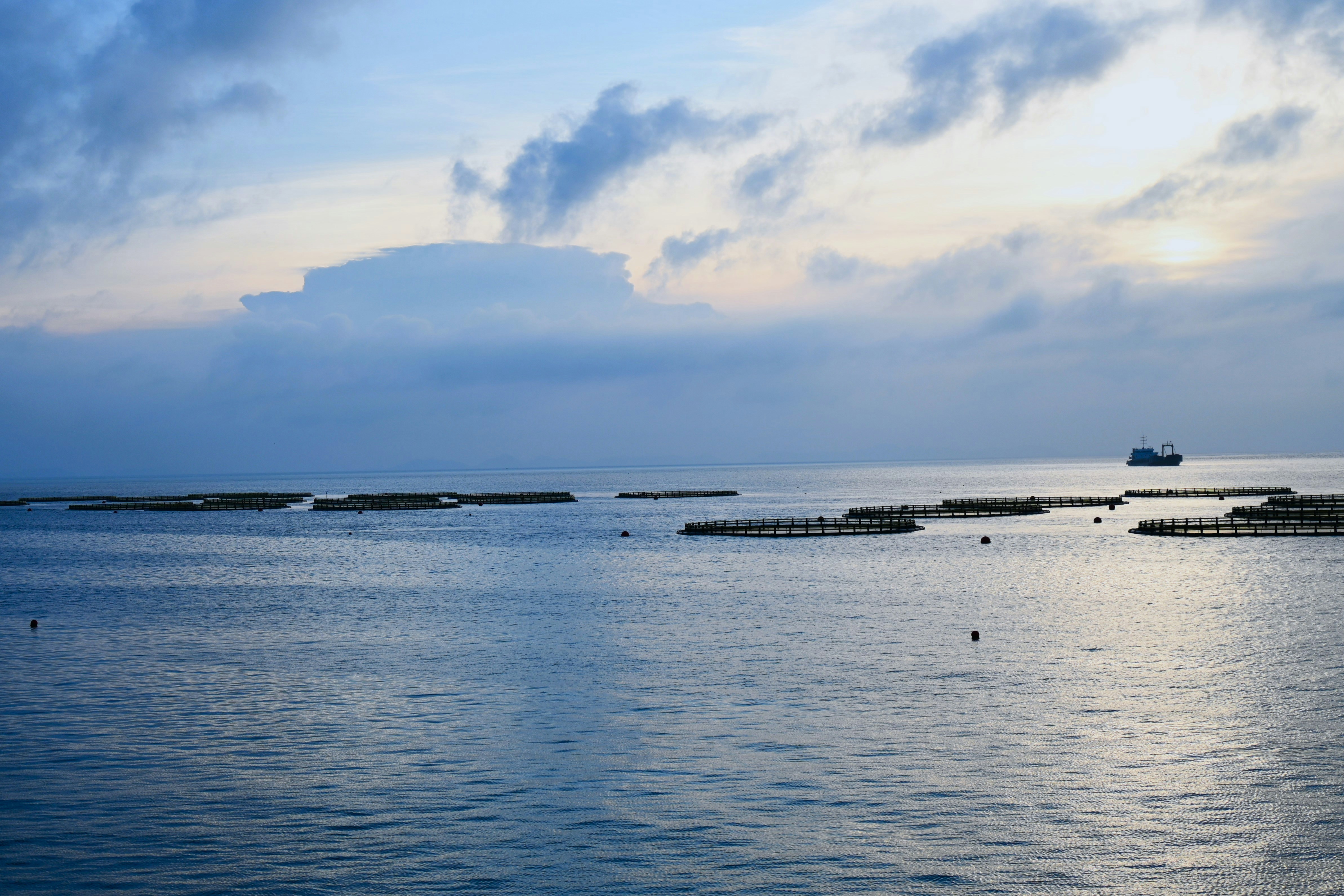 Photo by lancelot0531