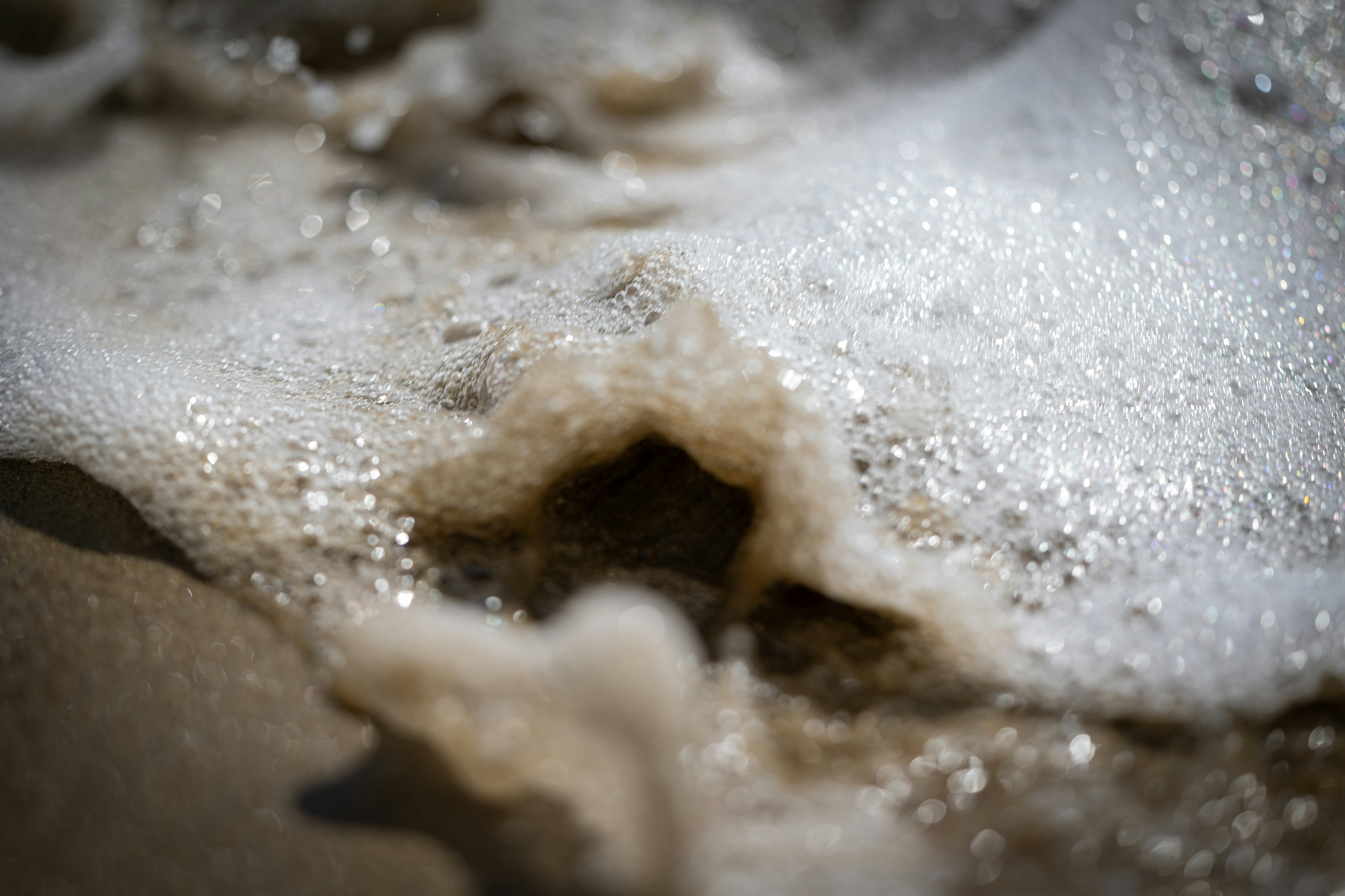 Photo by blackdiremedia