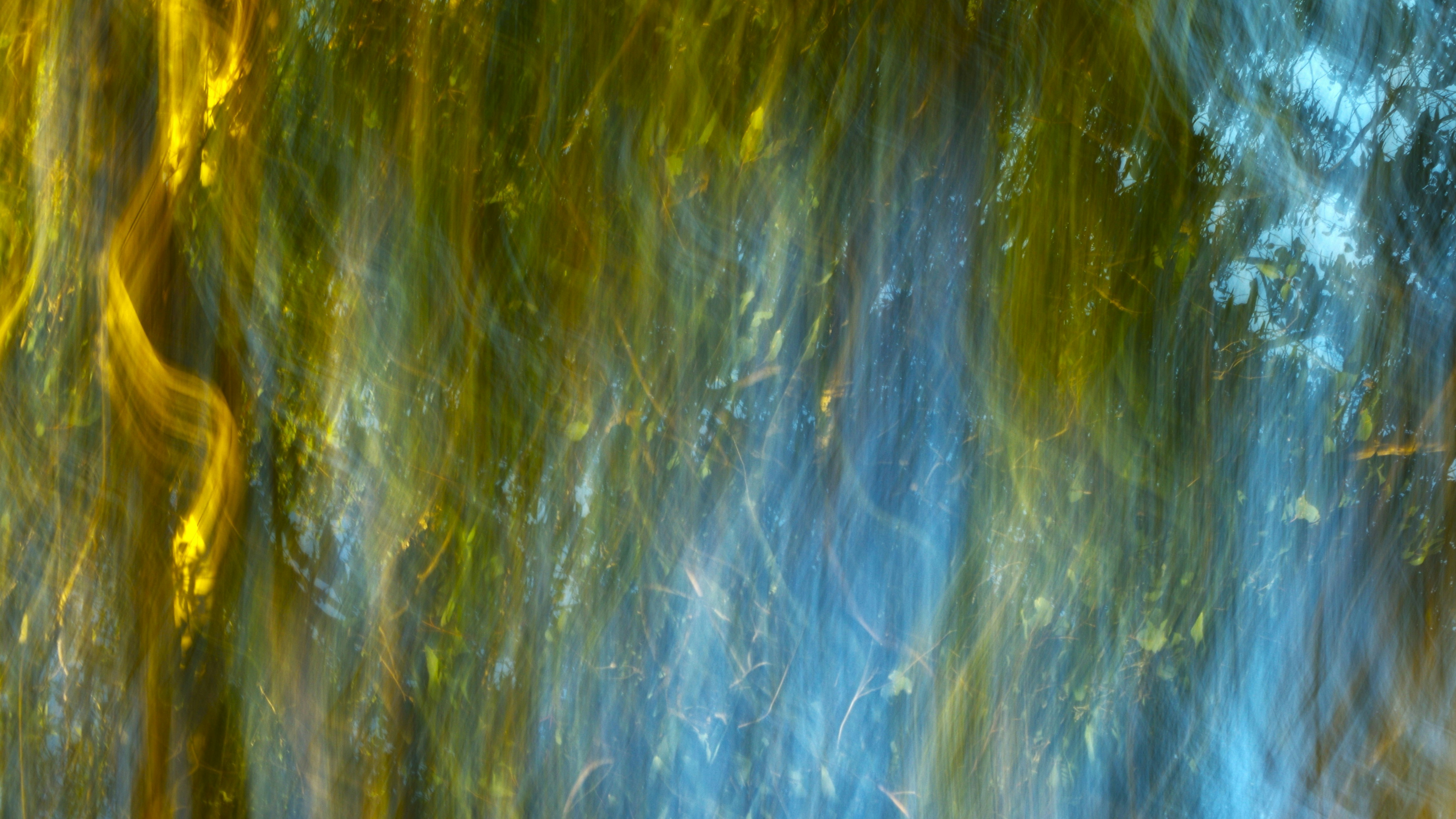 Photo by photoken123